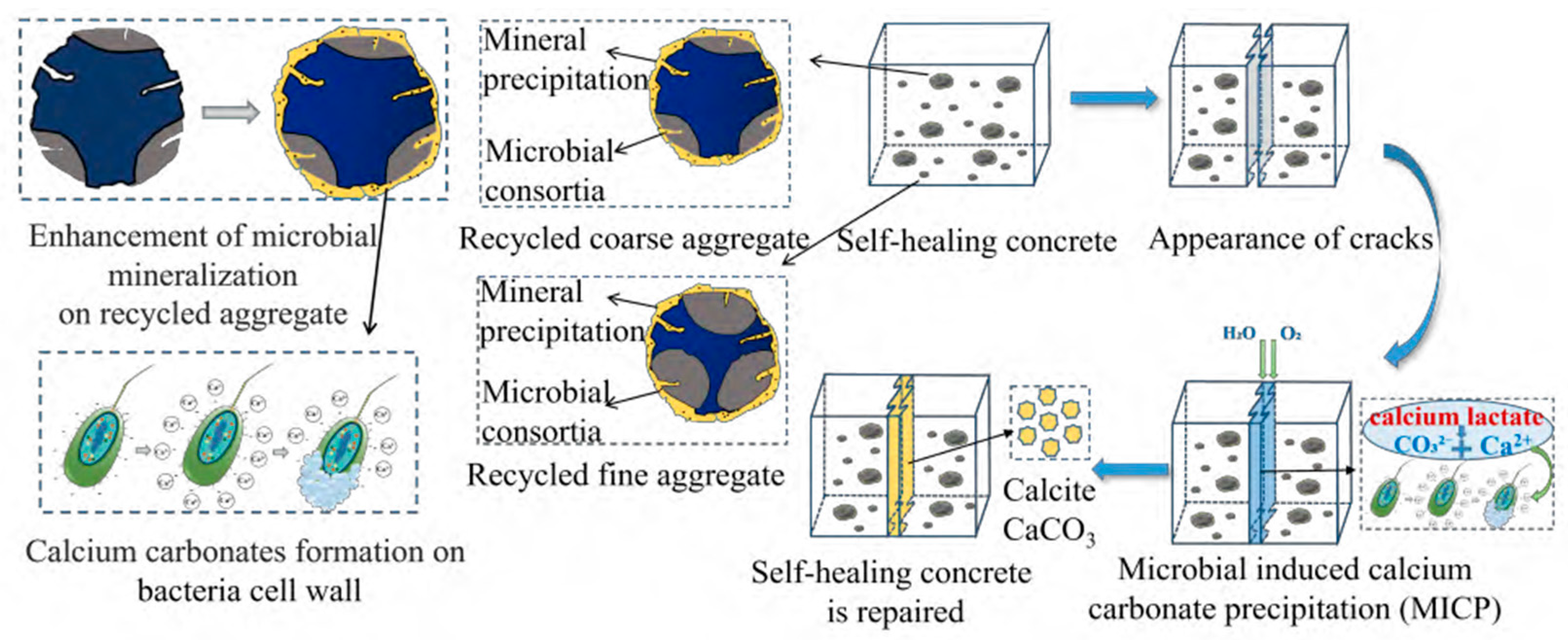Preprints 87726 g009