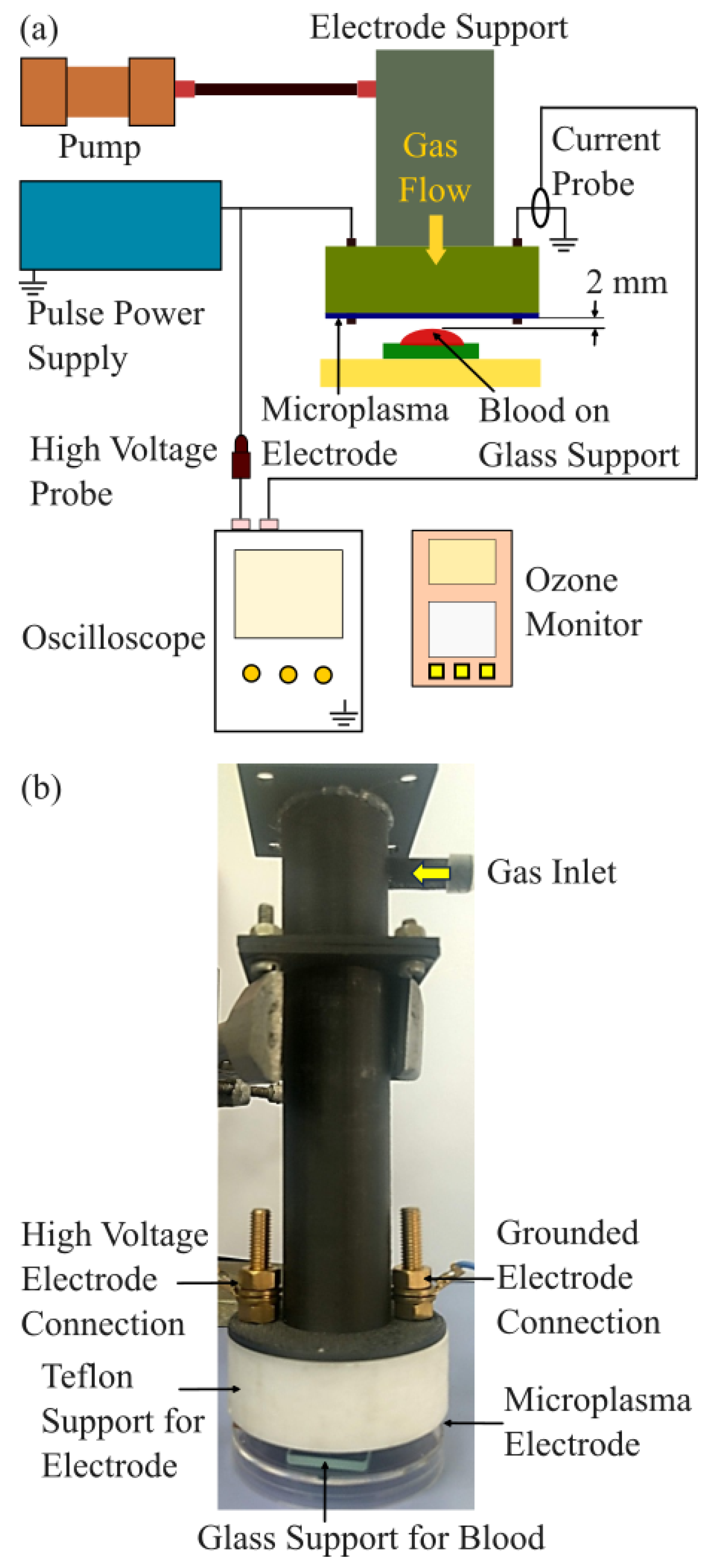 Preprints 176265 g001