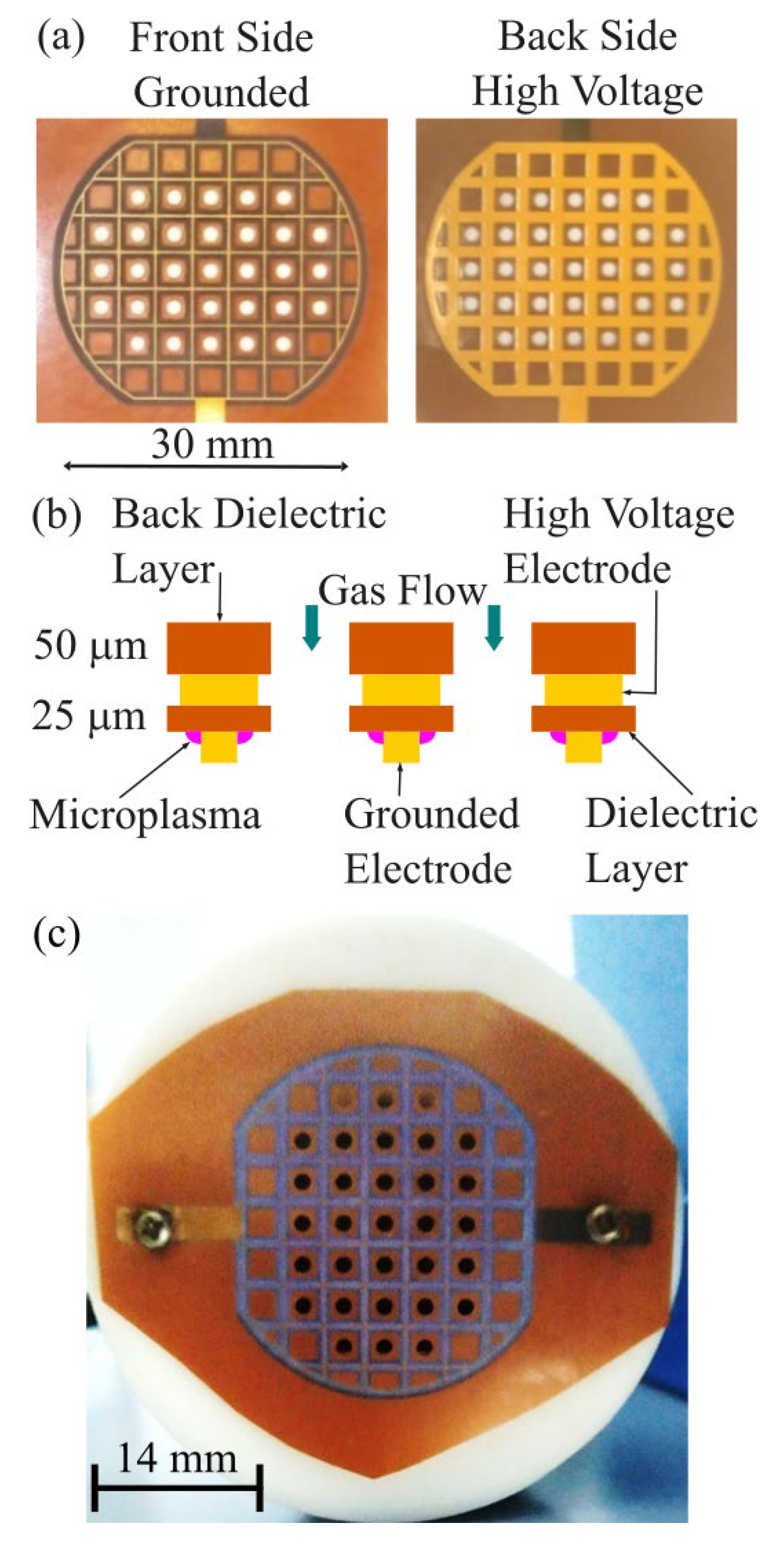 Preprints 176265 g002