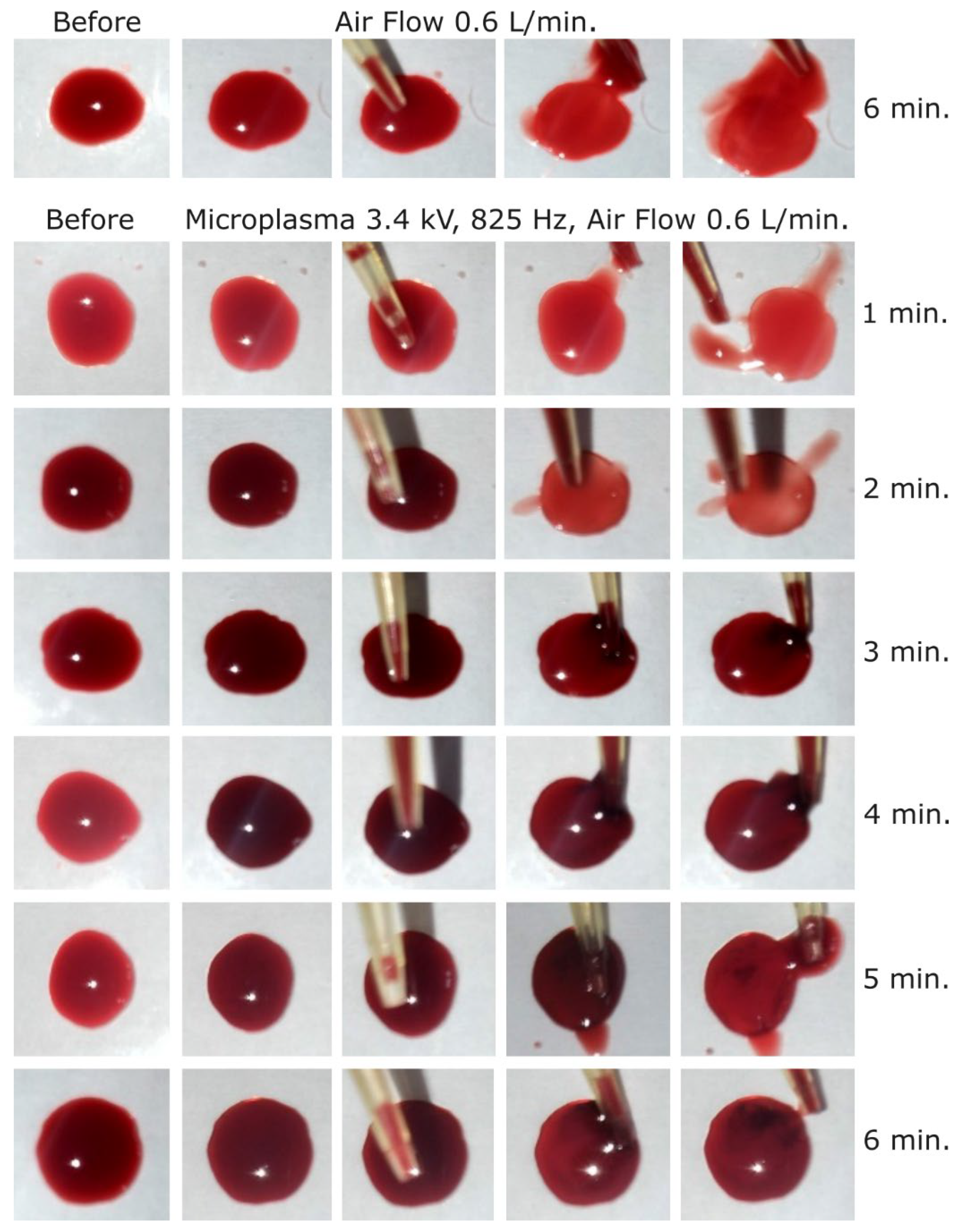 Preprints 176265 g008