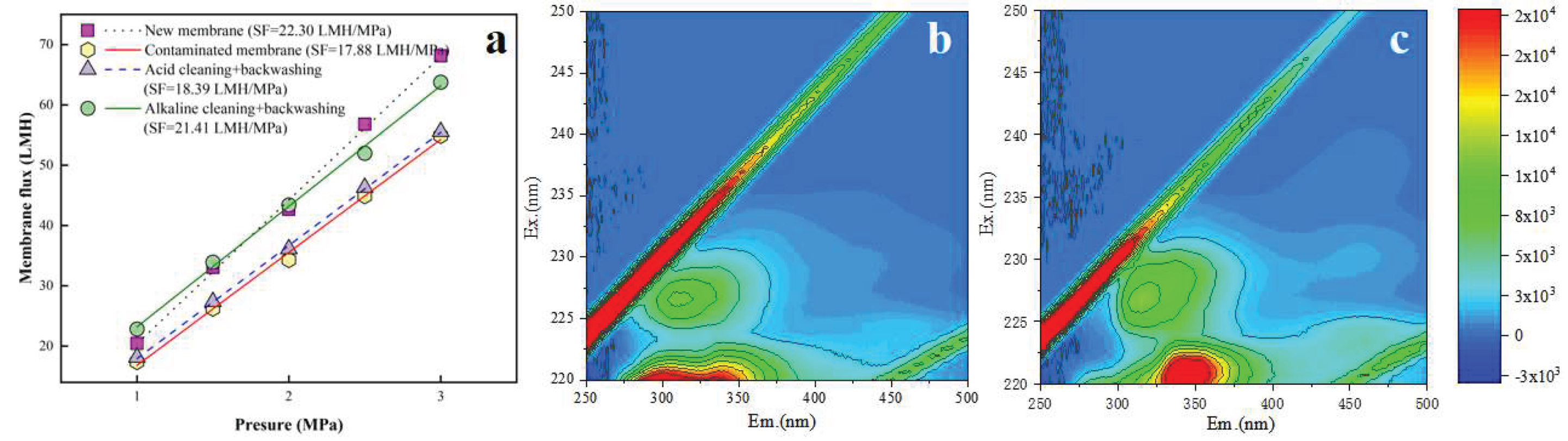 Preprints 185193 g010