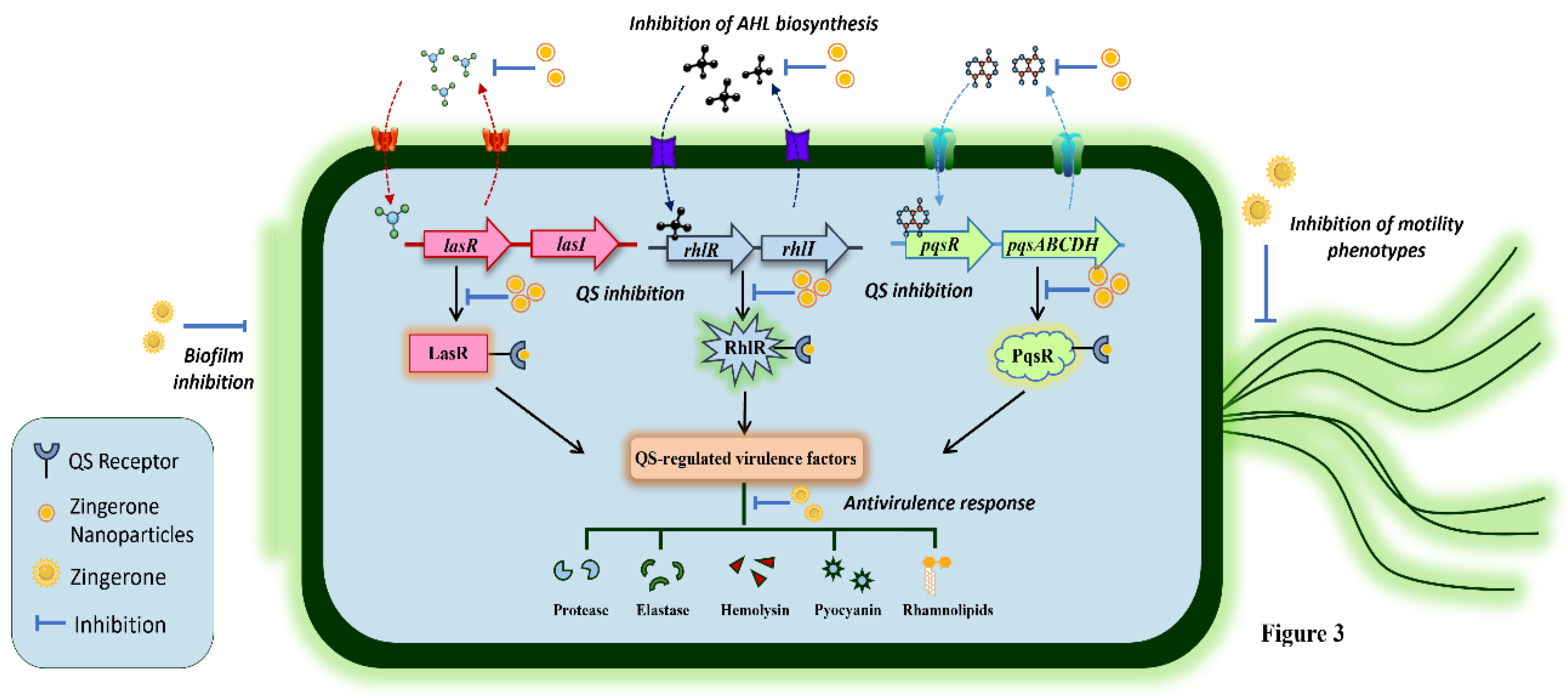 Preprints 153898 g003