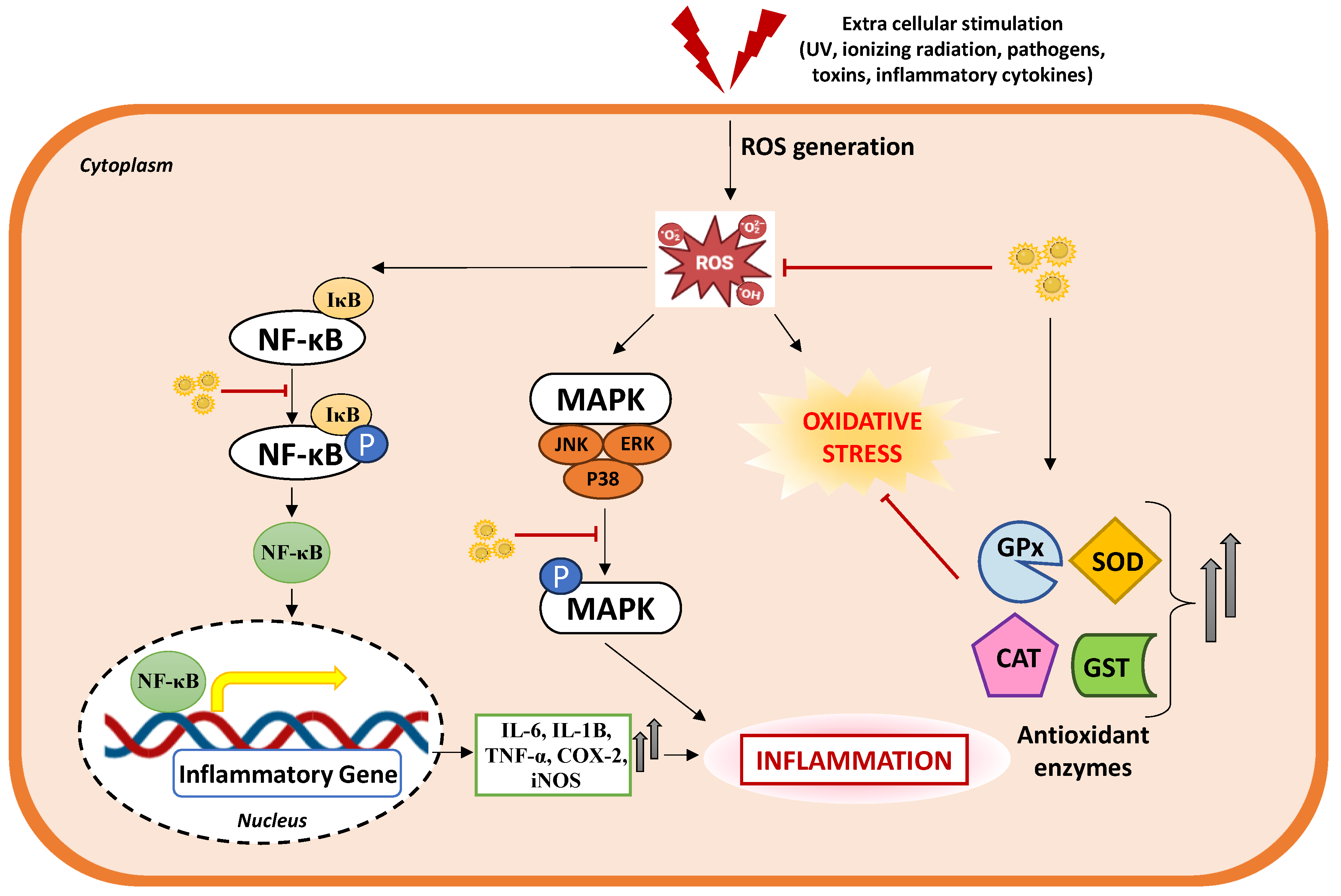 Preprints 153898 g004