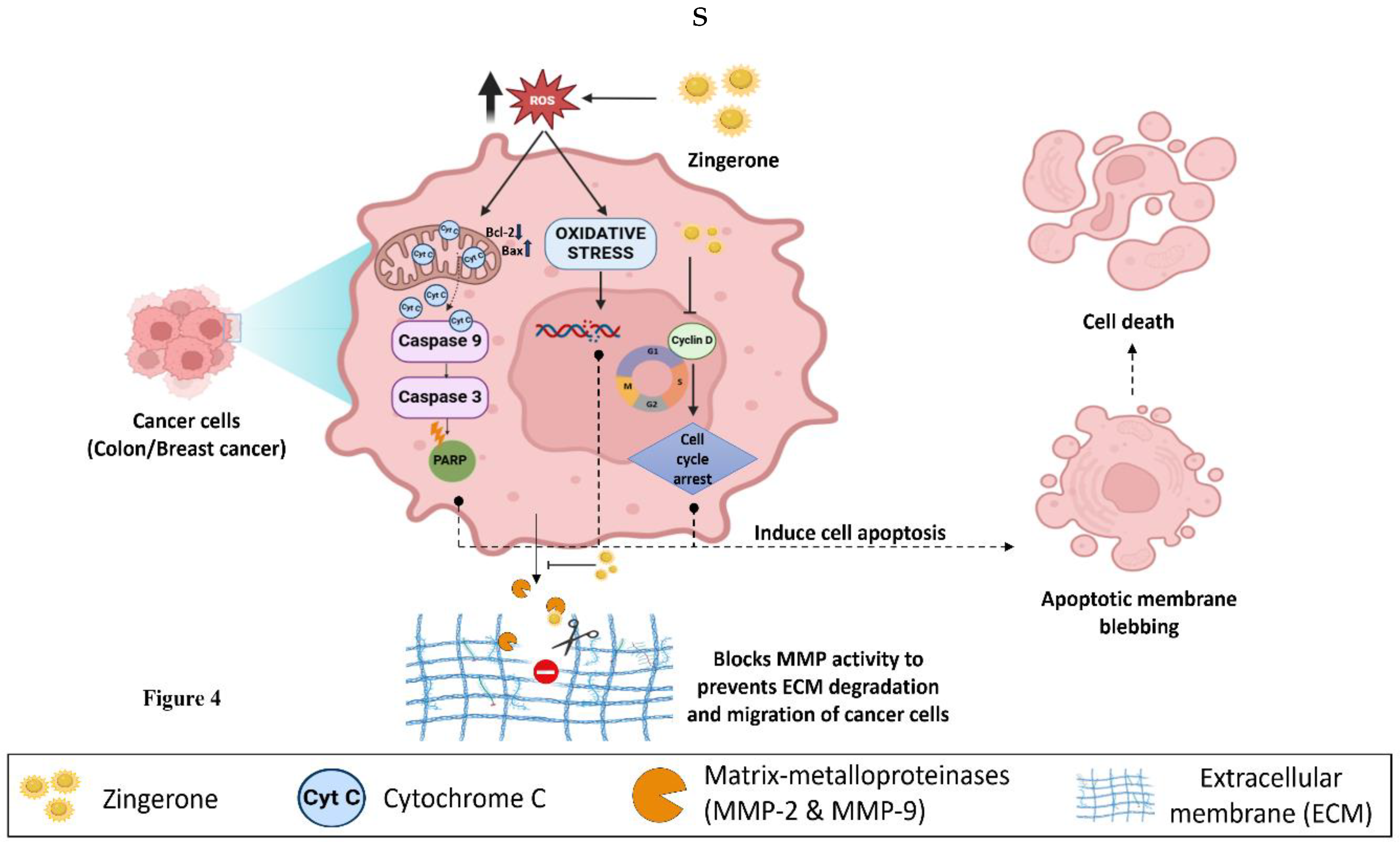 Preprints 153898 g005