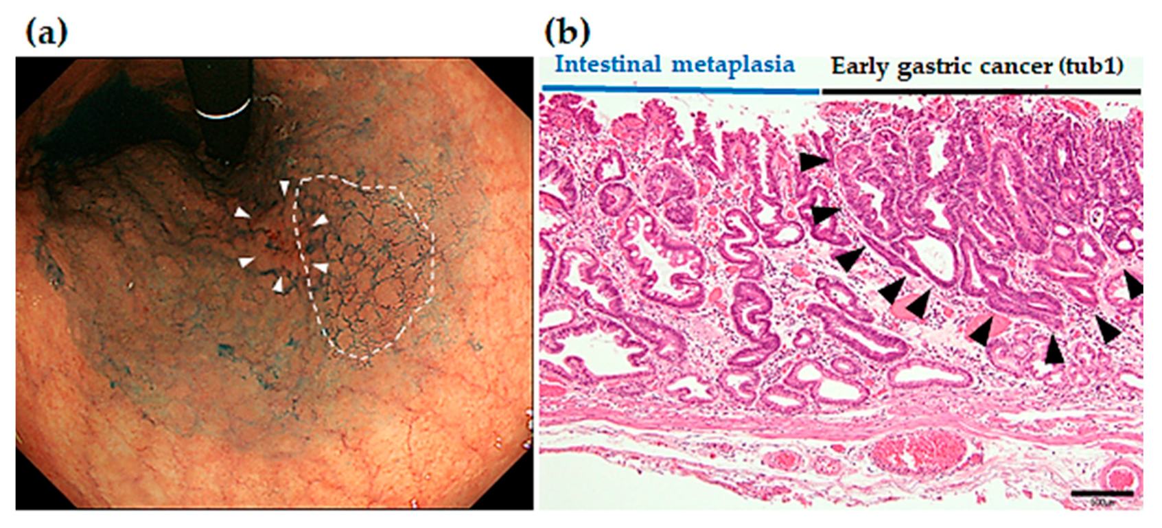 Preprints 88143 g005