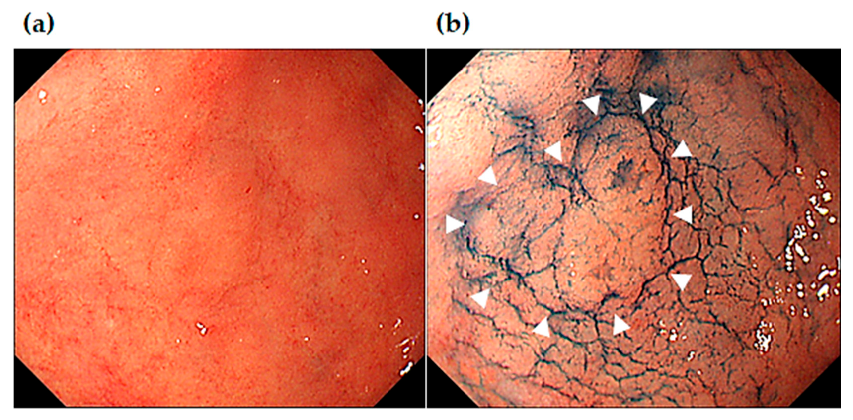Preprints 88143 g006