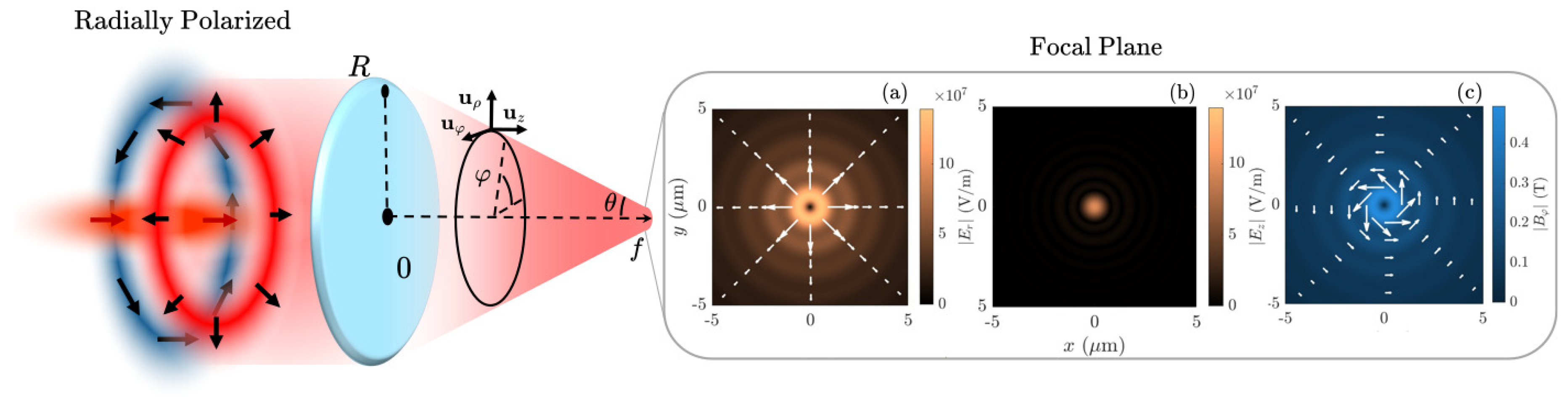 Preprints 180320 g002