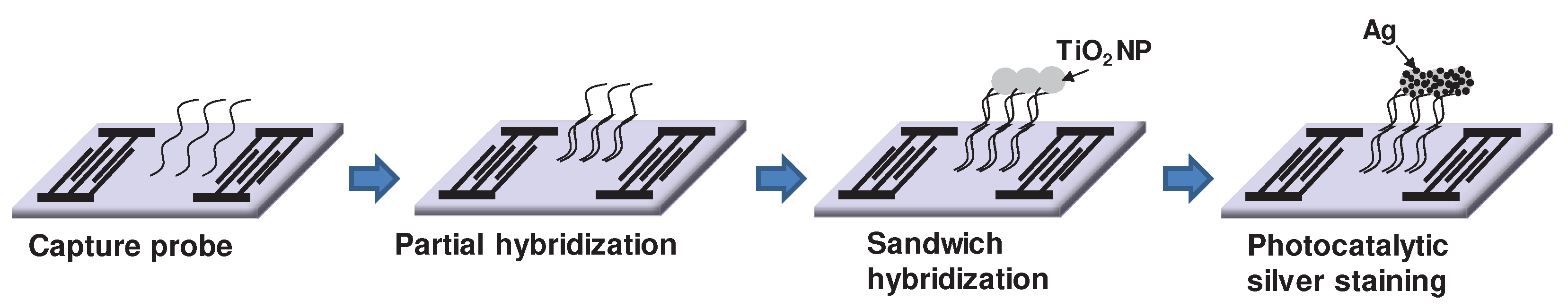 Preprints 93130 g004