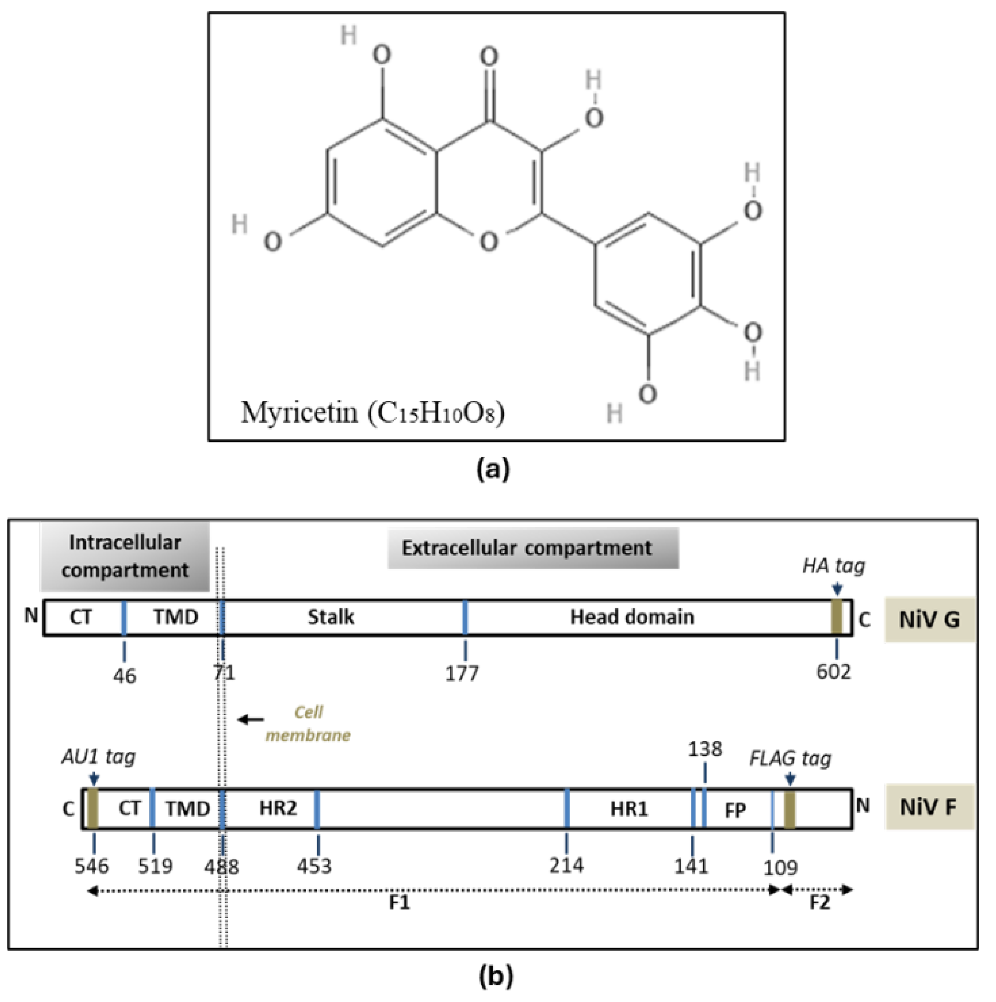 Preprints 139506 g001
