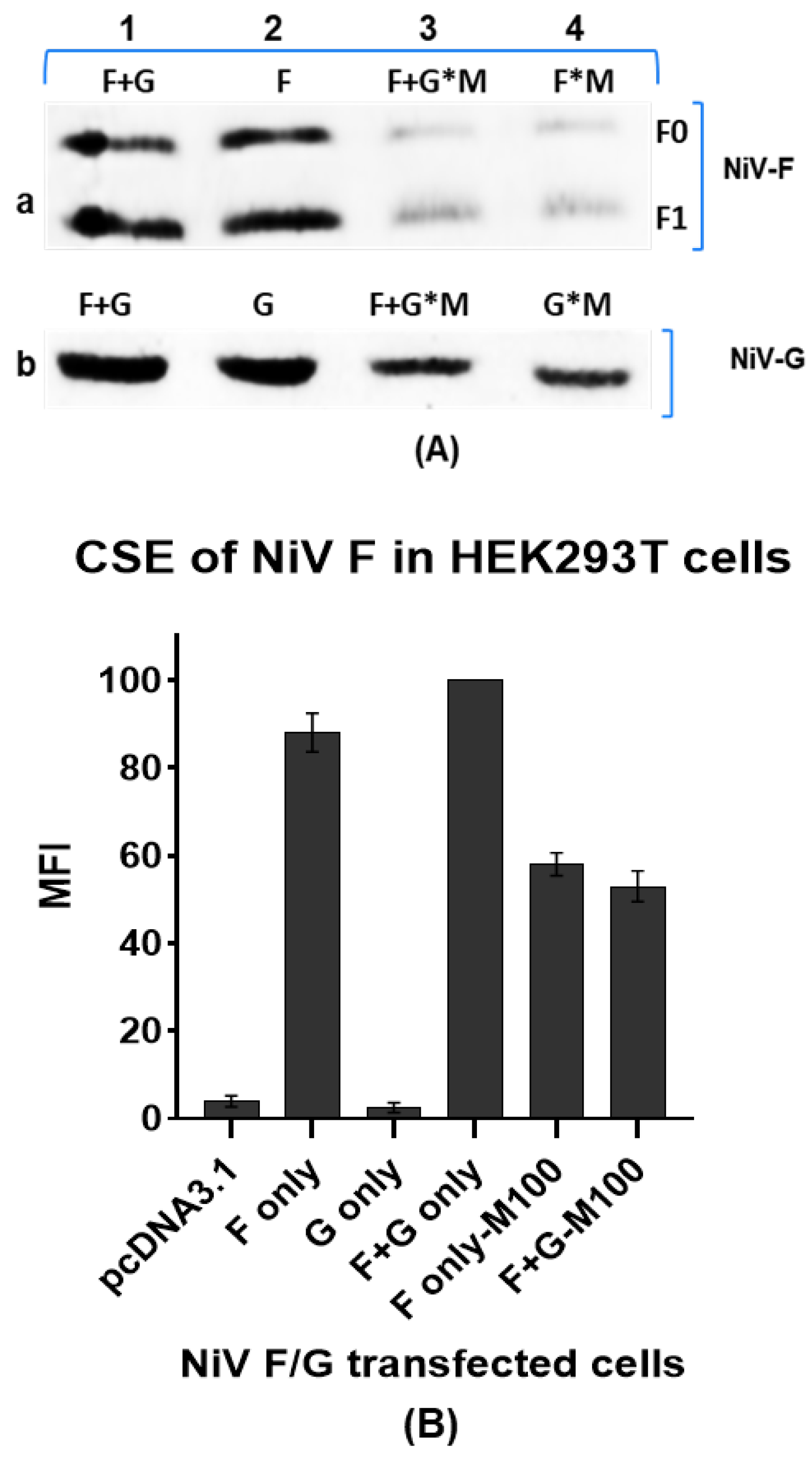 Preprints 139506 g006
