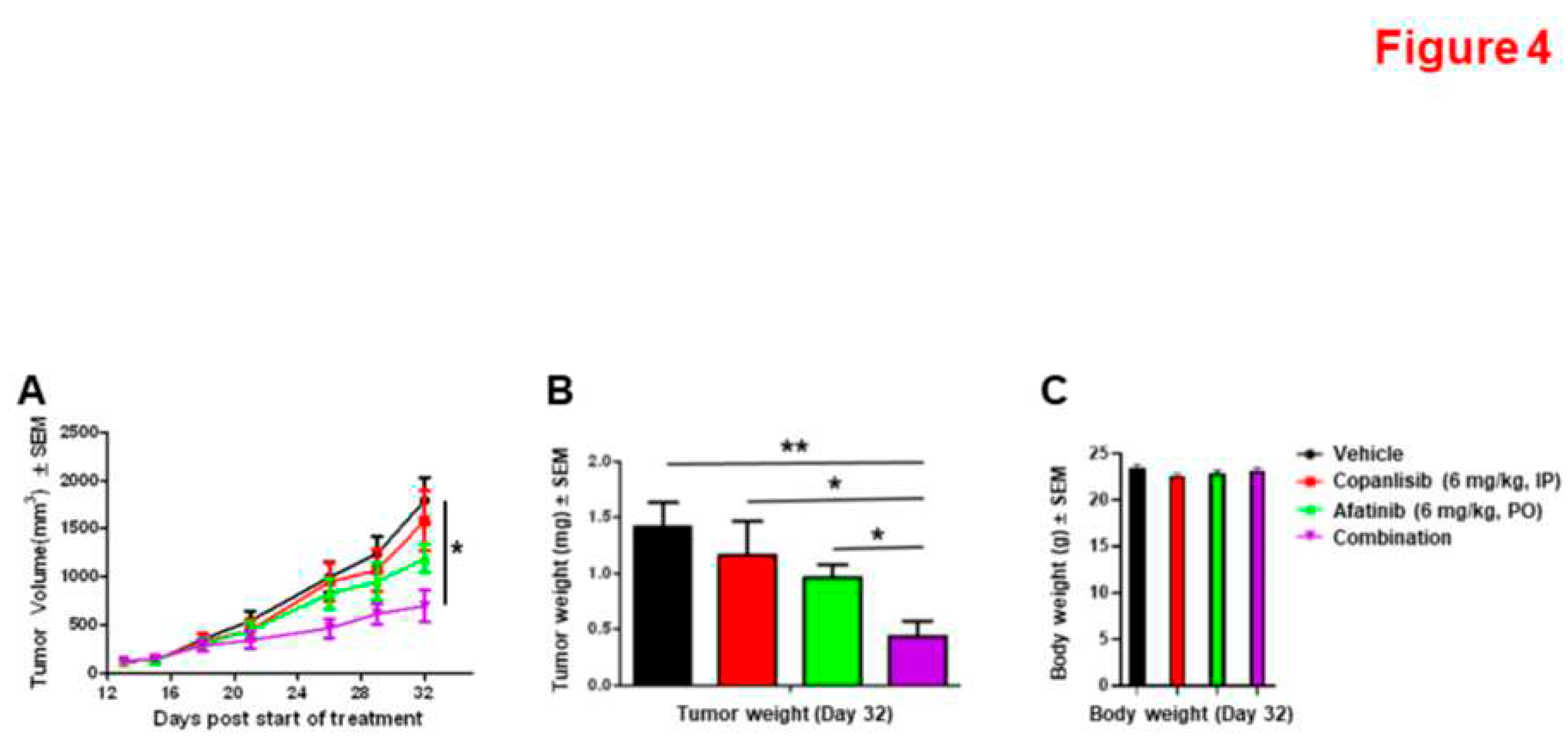 Preprints 98387 g004