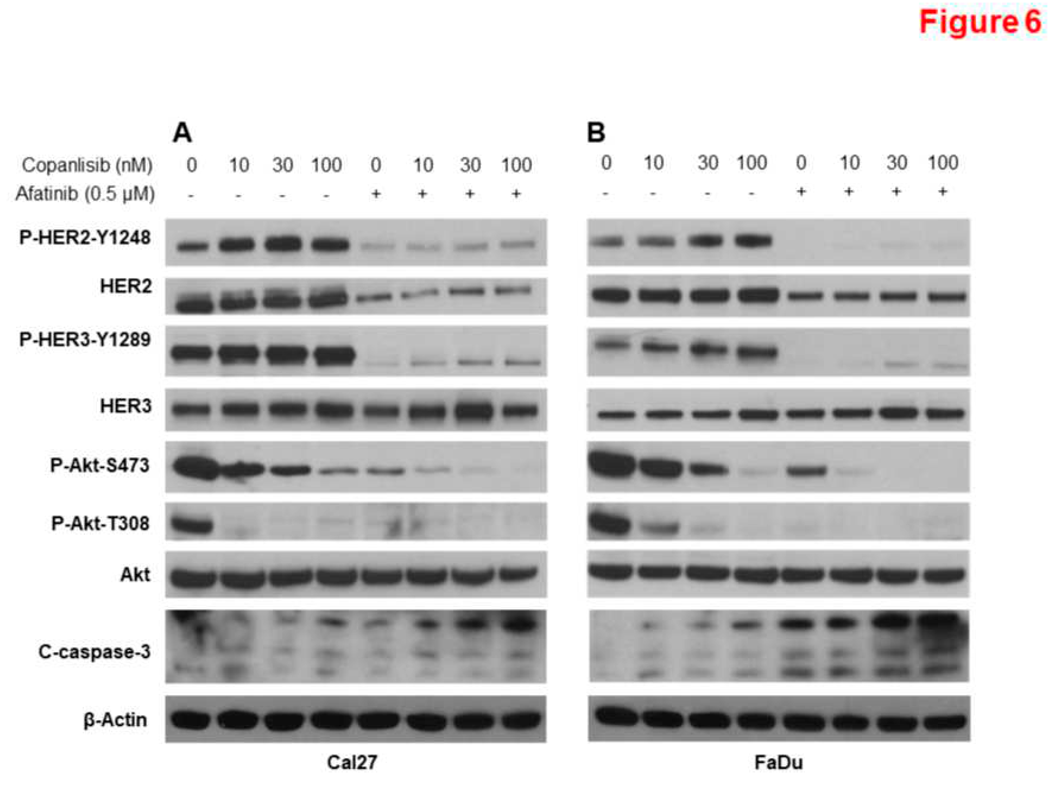 Preprints 98387 g006