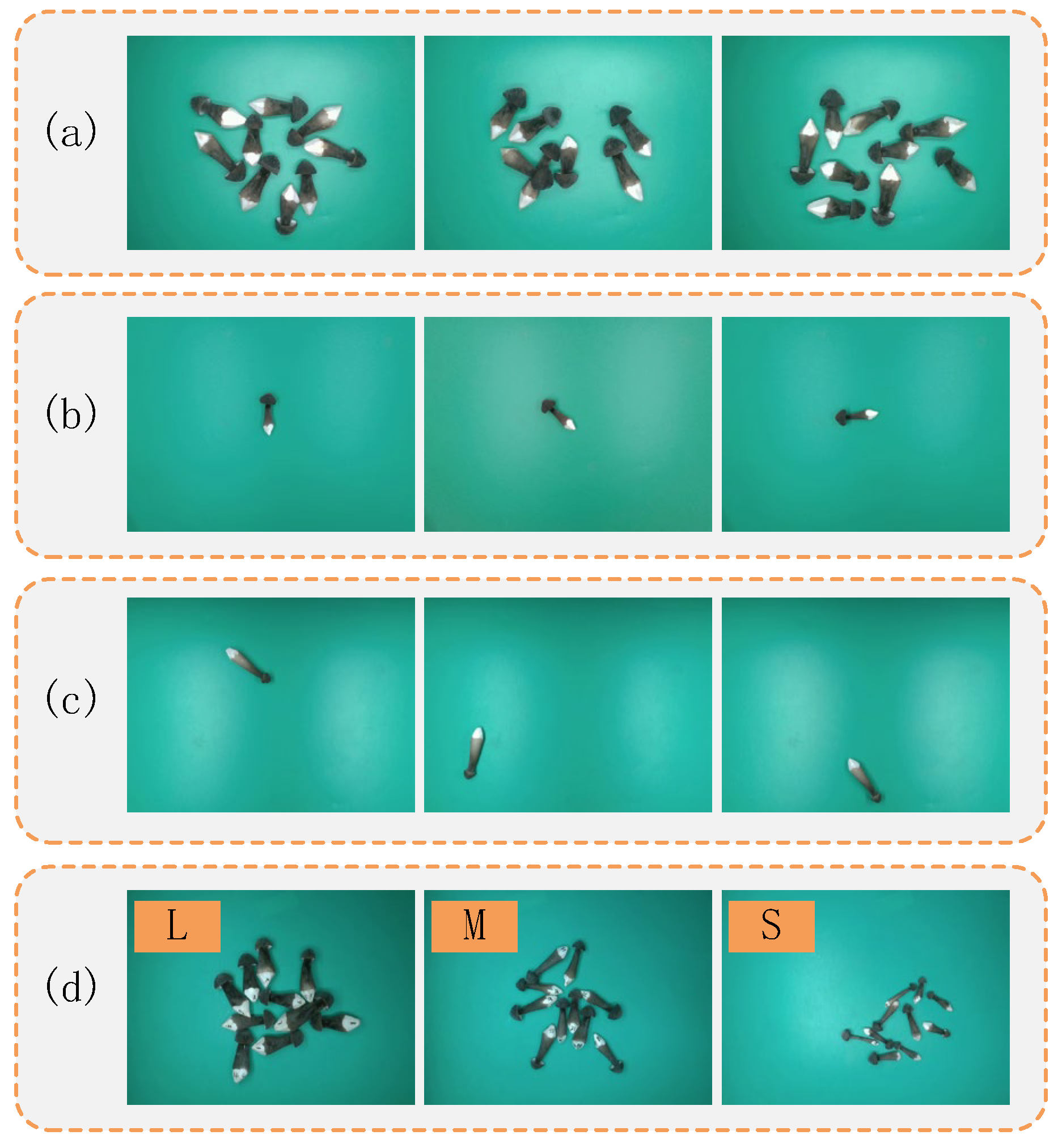 Preprints 186671 g002