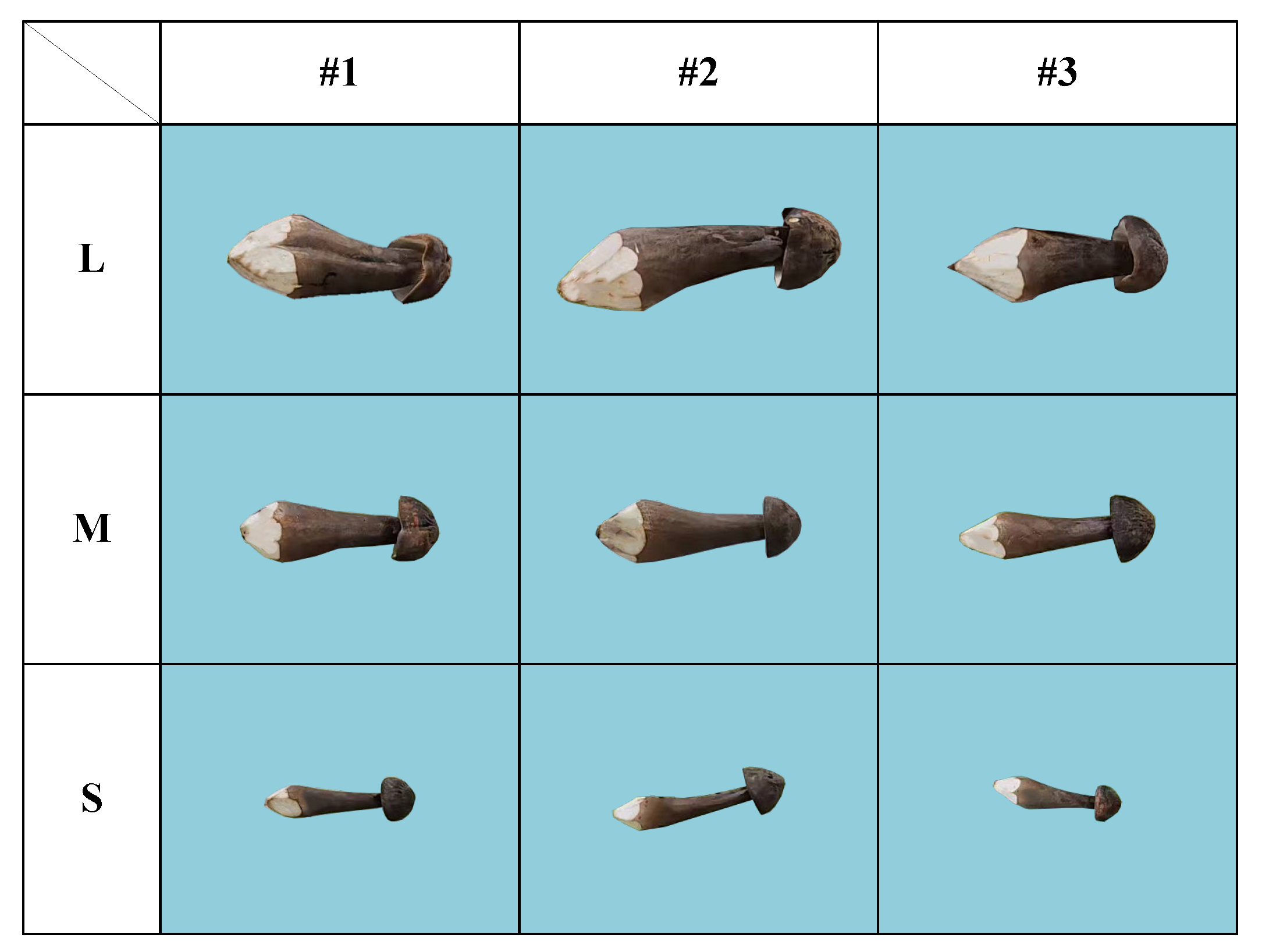 Preprints 186671 g003