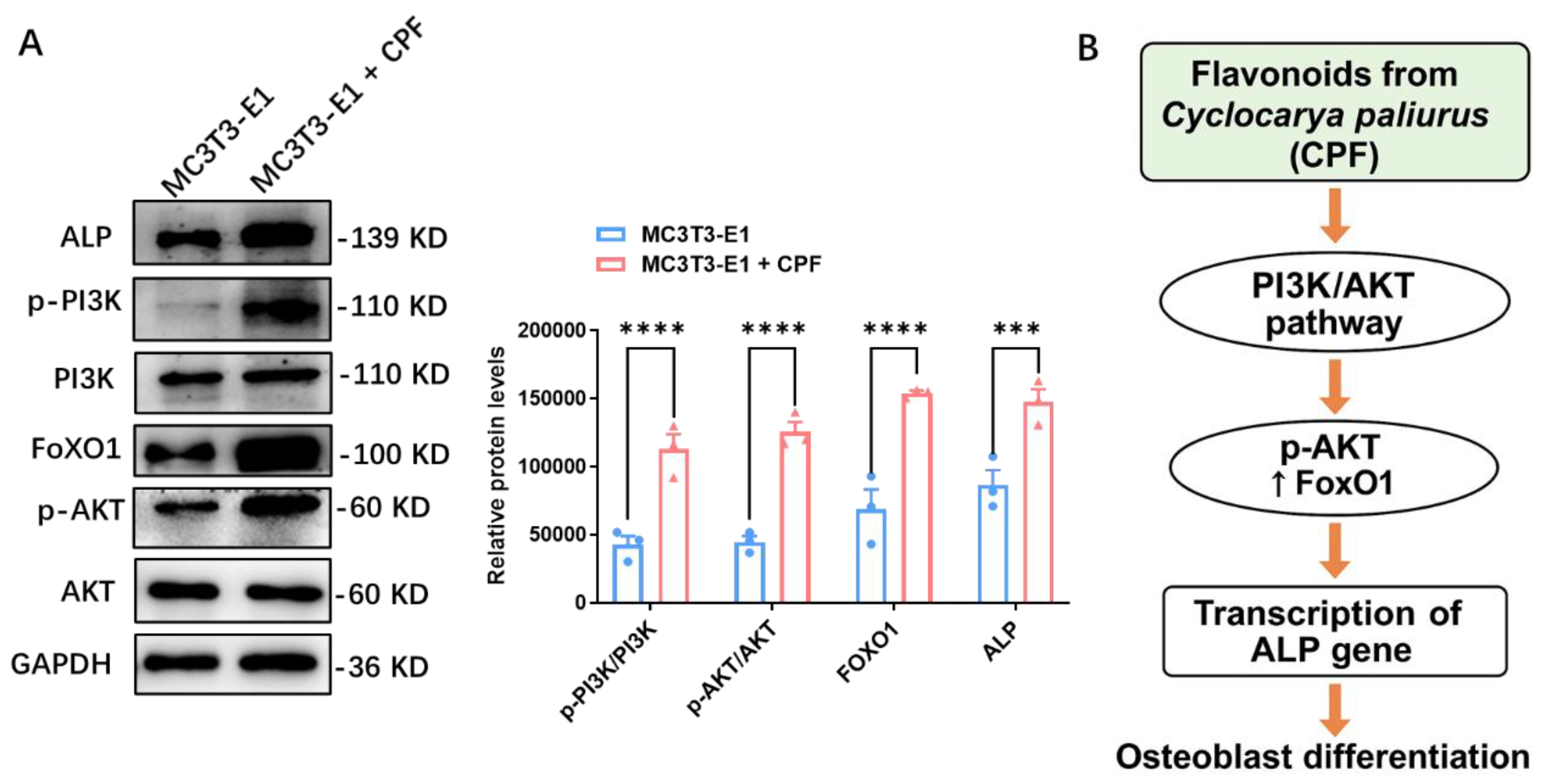 Preprints 167745 g004