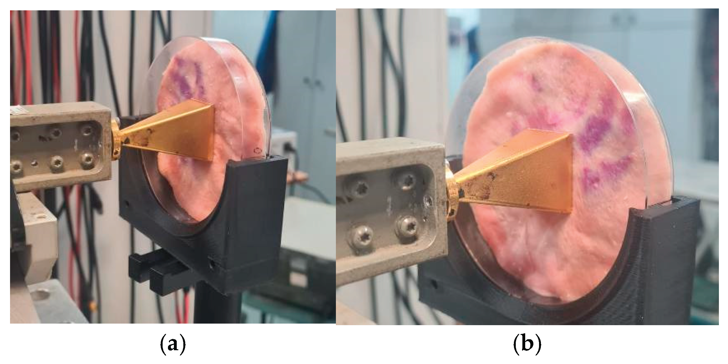 Preprints 183963 g015