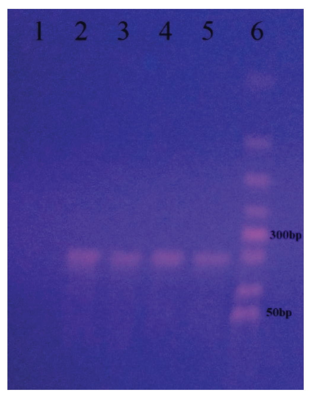 Preprints 203491 g003