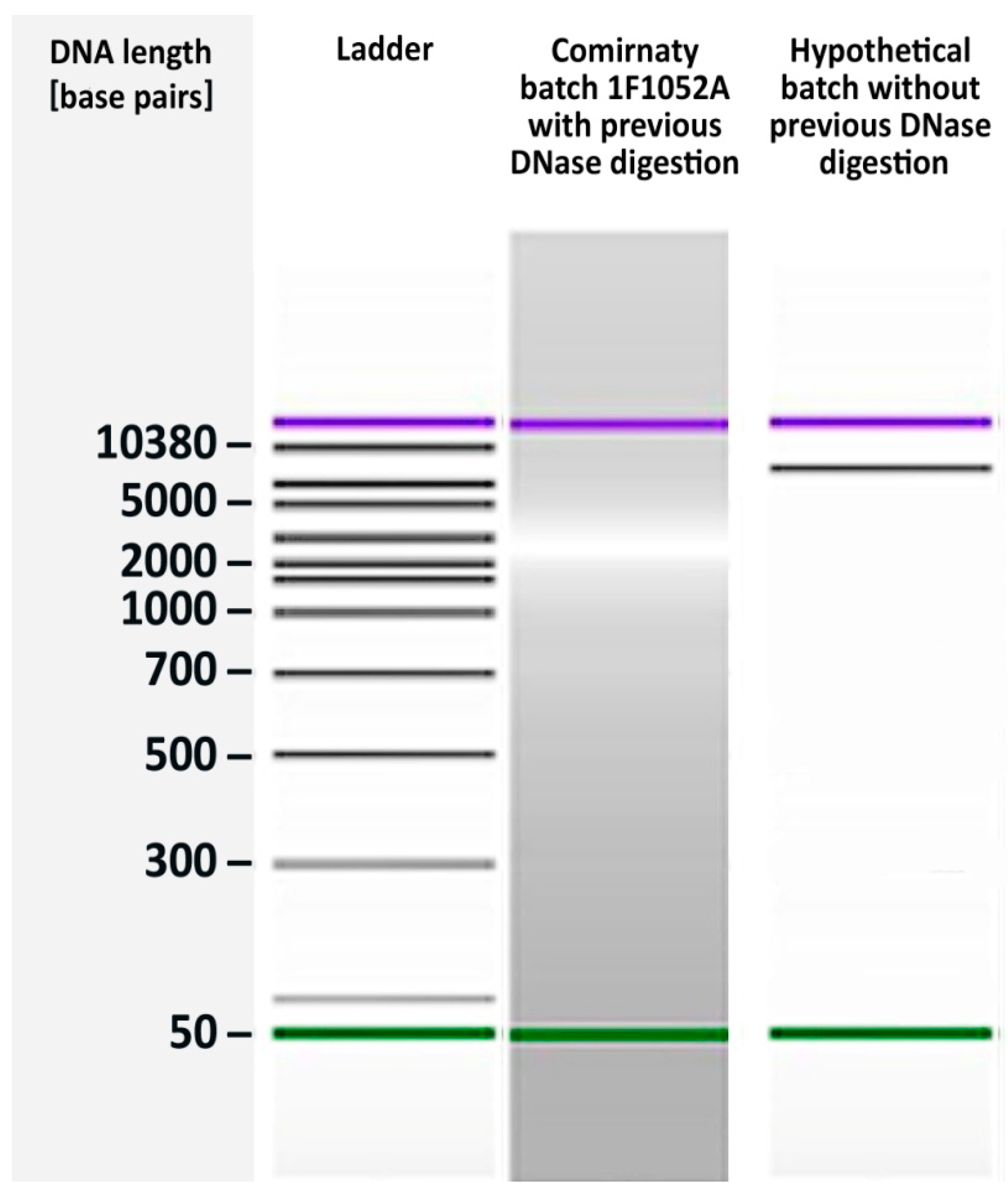 Preprints 154101 g001