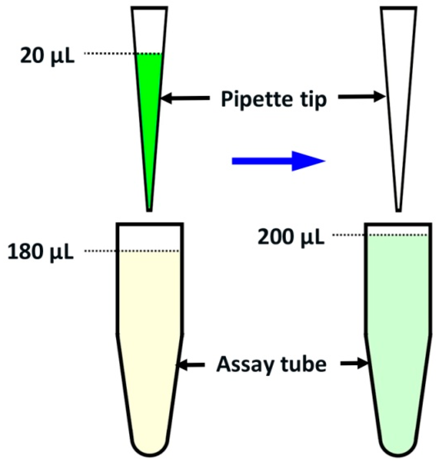 Preprints 154101 g004