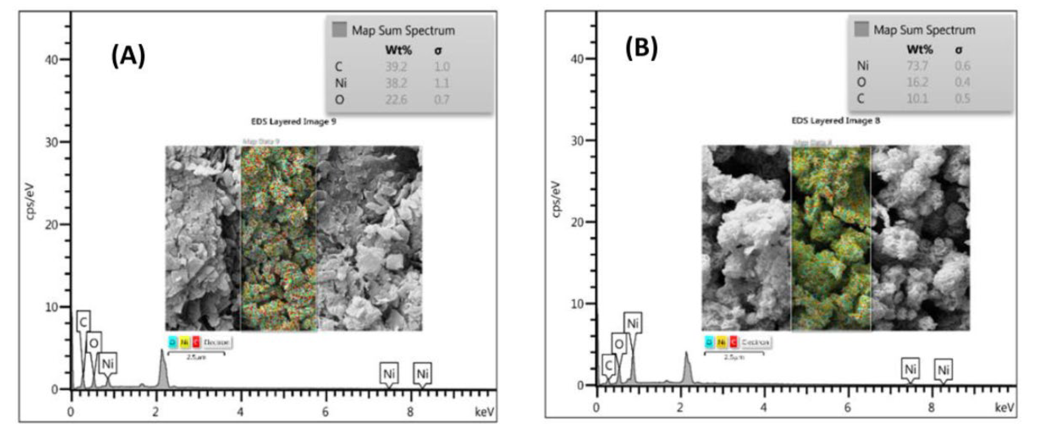 Preprints 121518 g003
