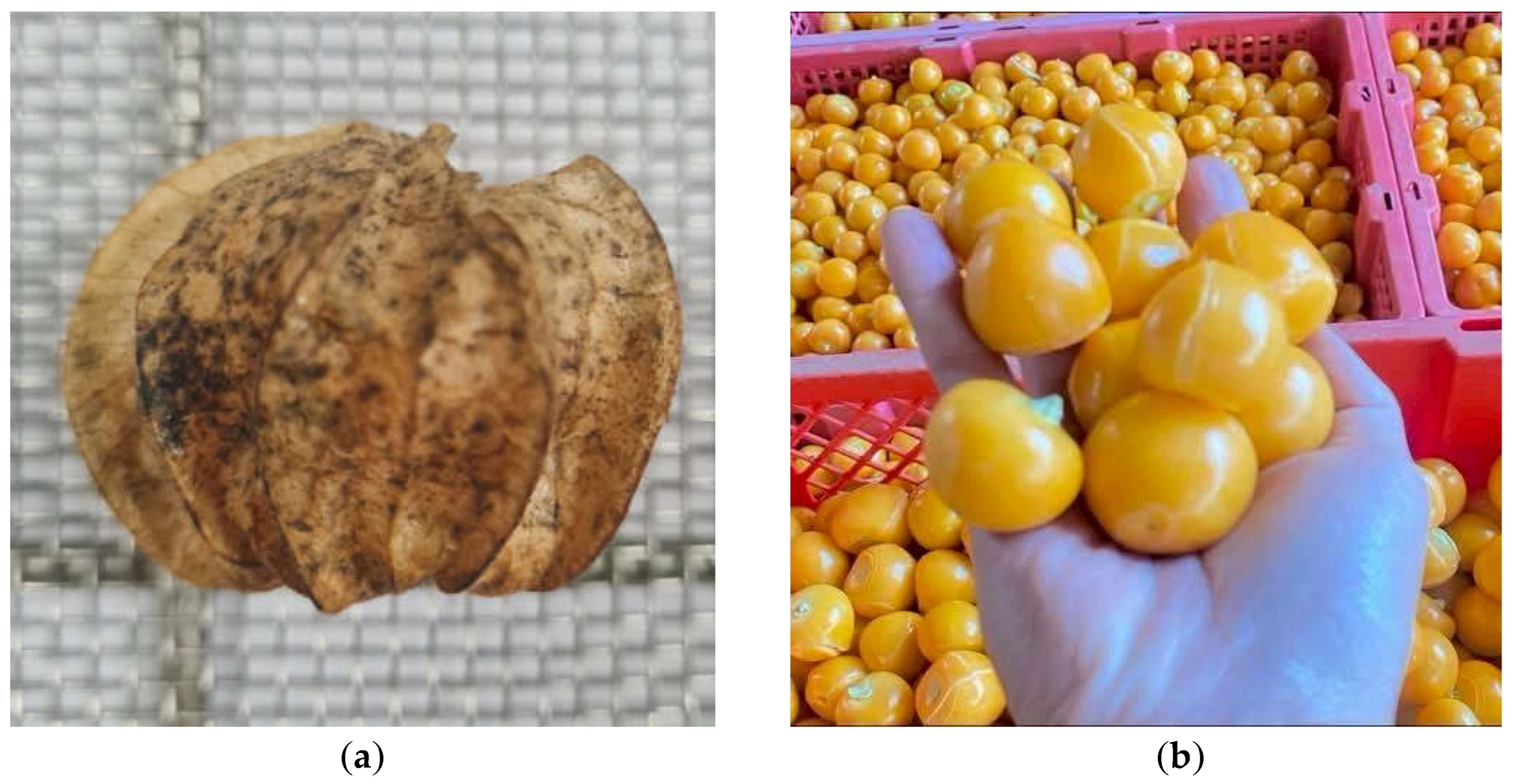 Preprints 158476 g001