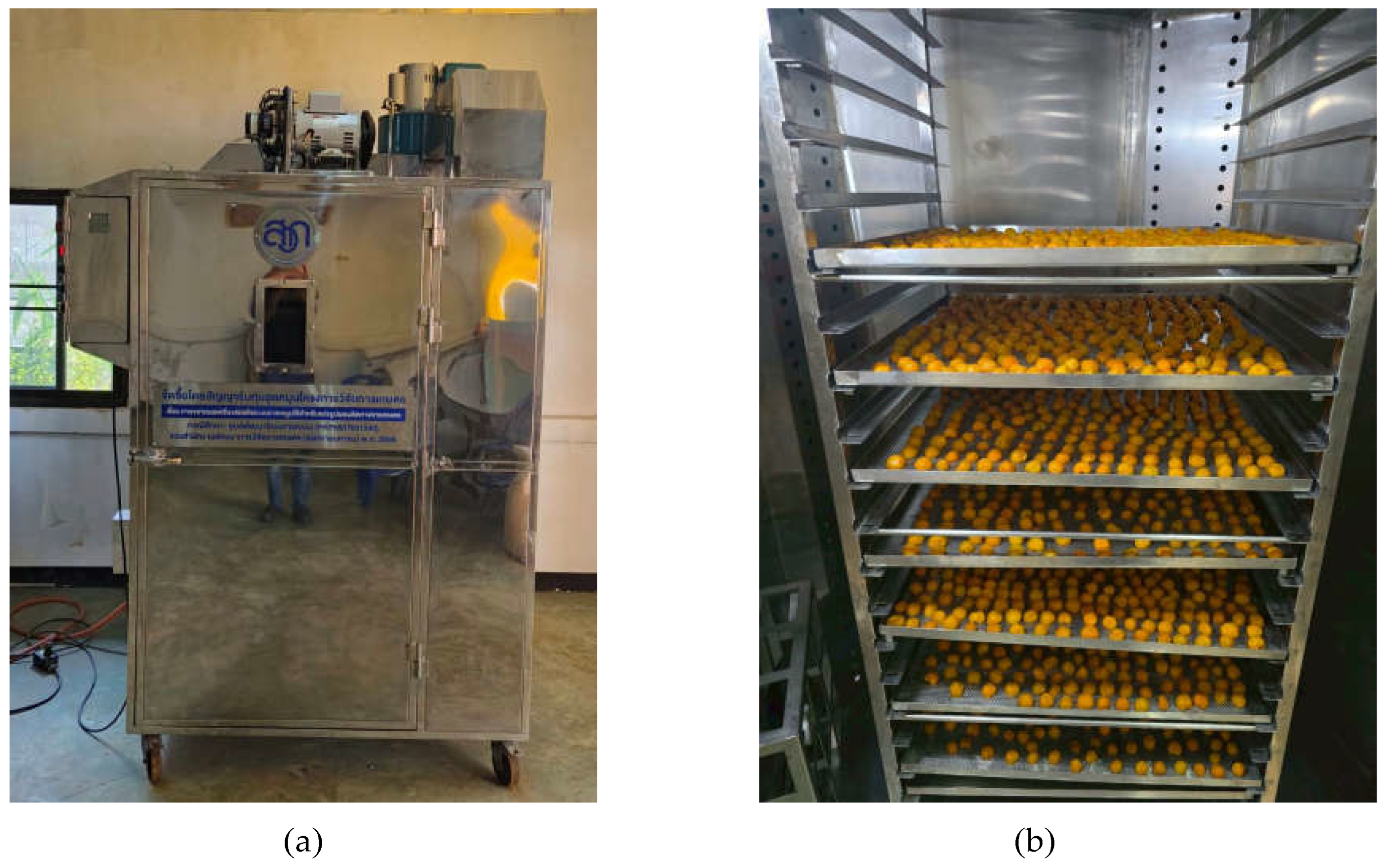 Preprints 158476 g003