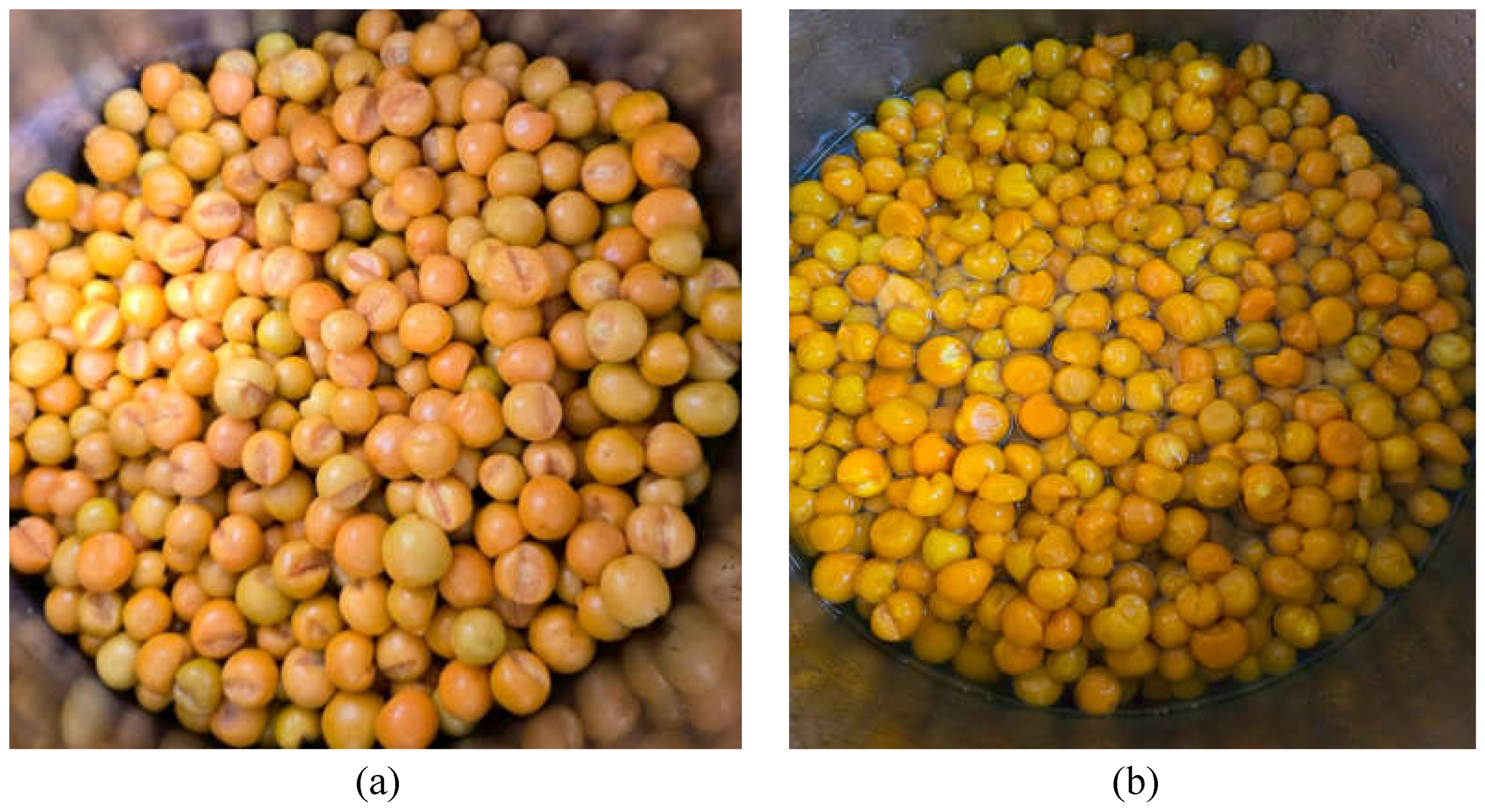 Preprints 158476 g005