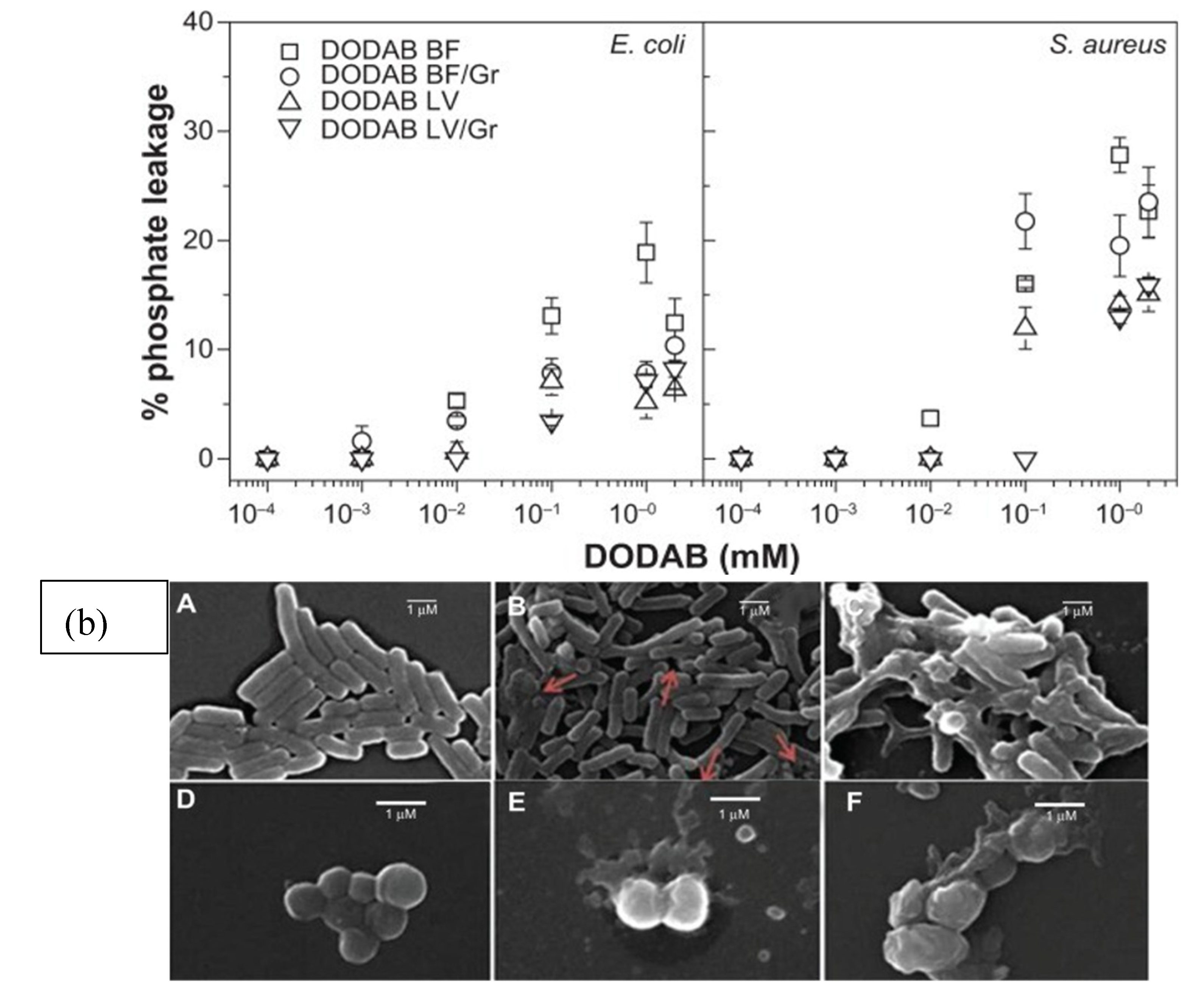 Preprints 153846 g003