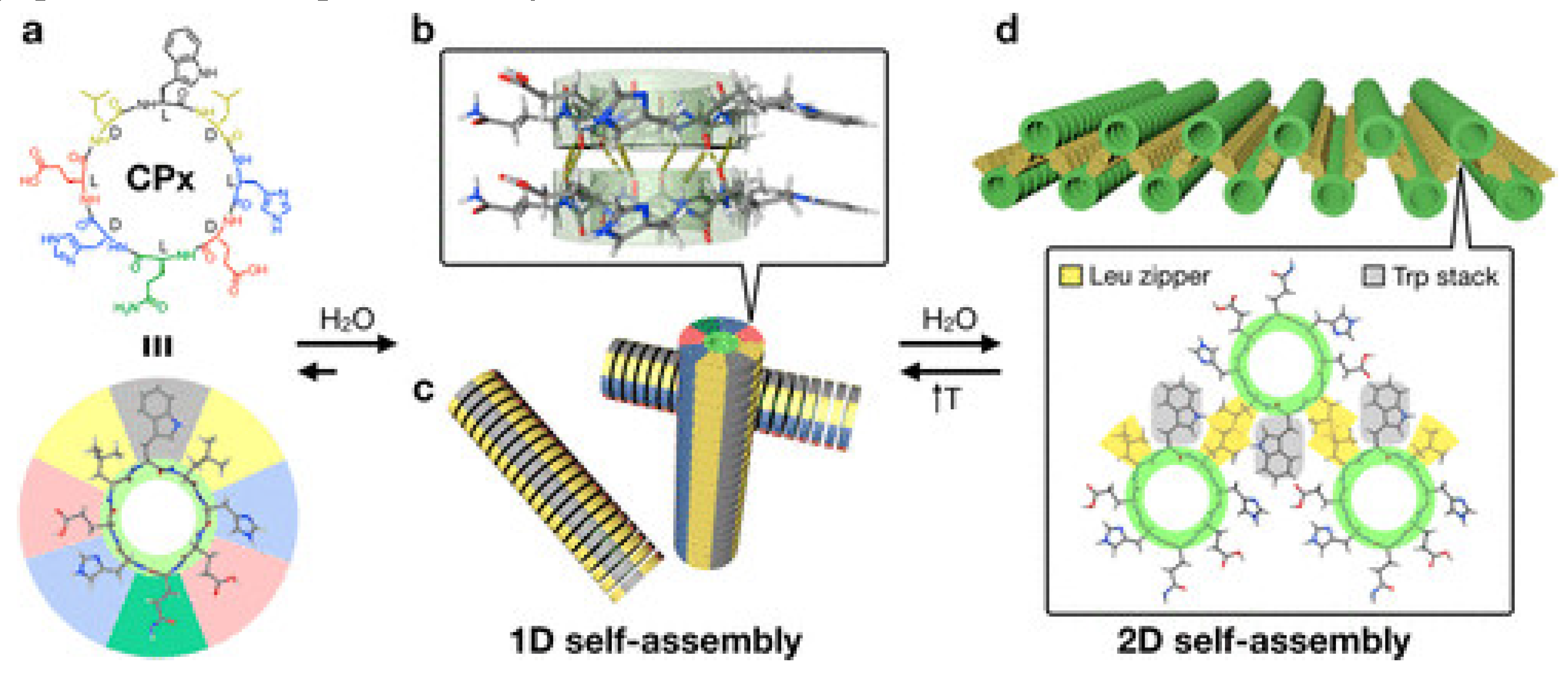 Preprints 153846 g004