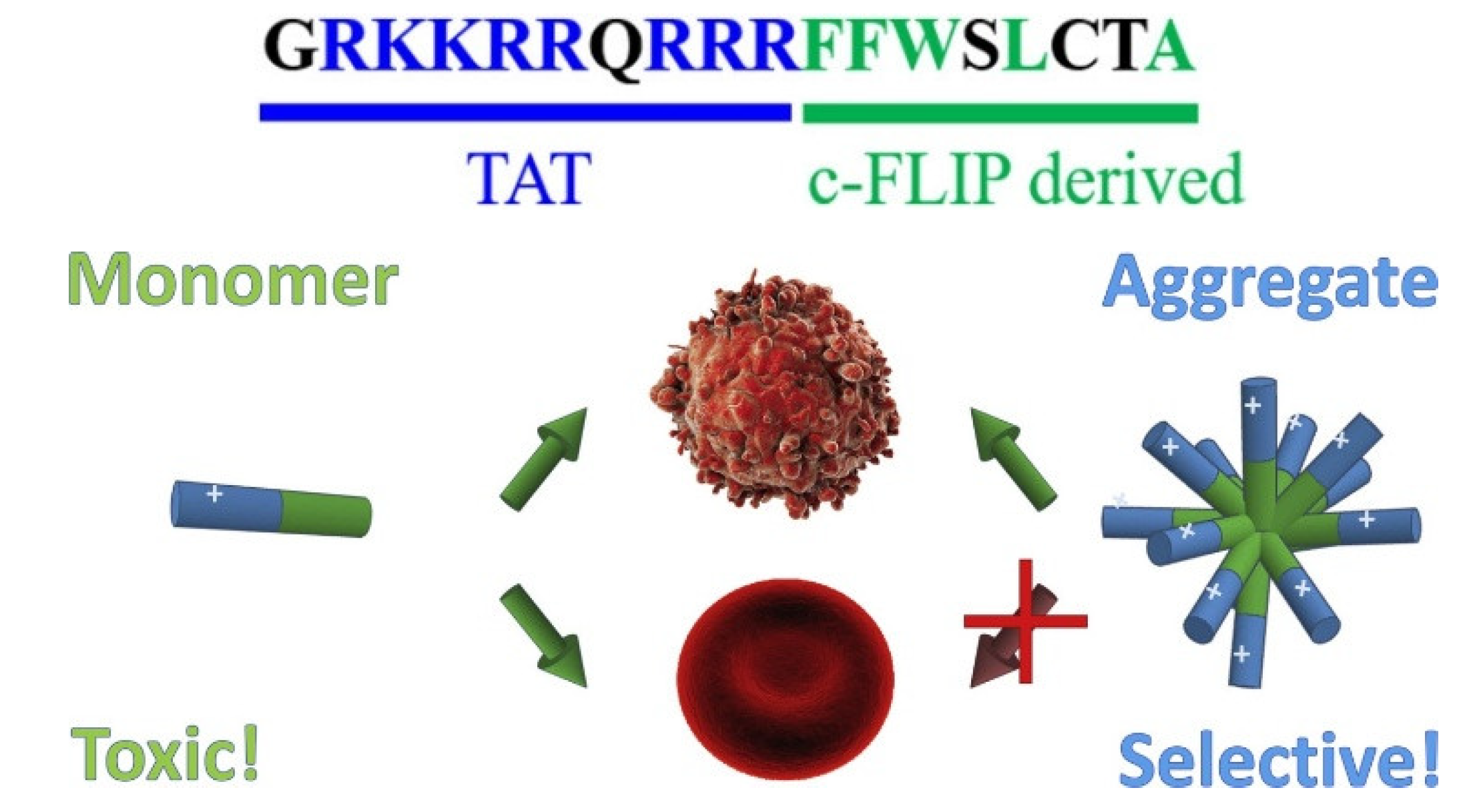 Preprints 153846 g005