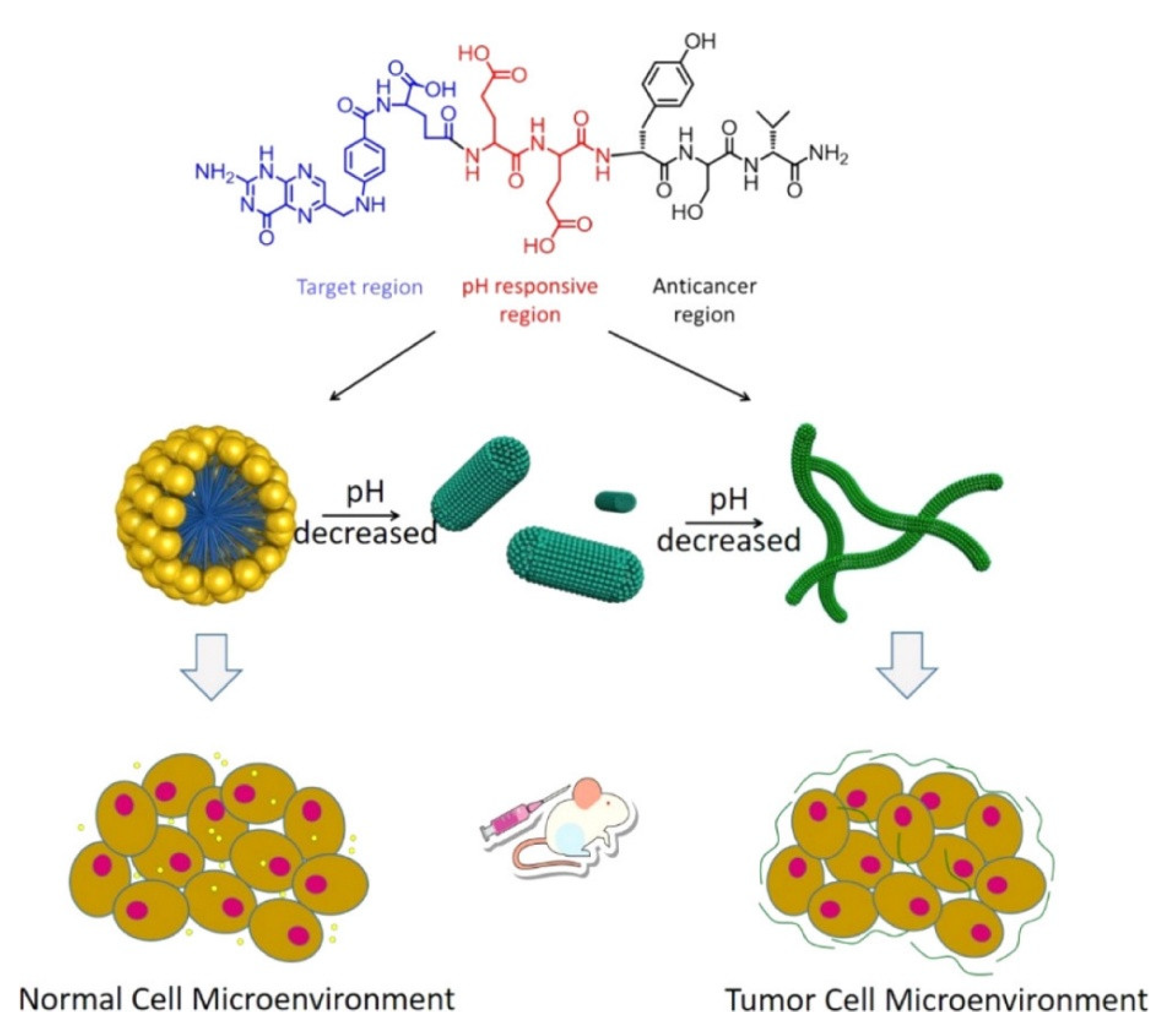 Preprints 153846 g006