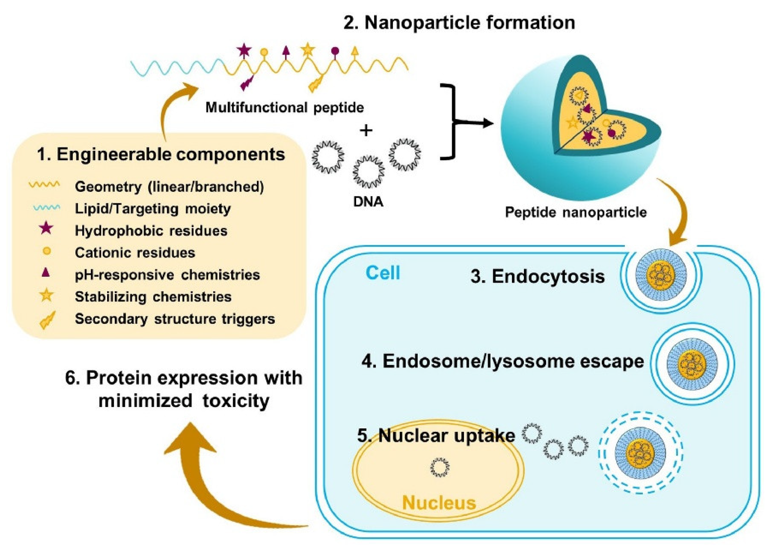 Preprints 153846 g007