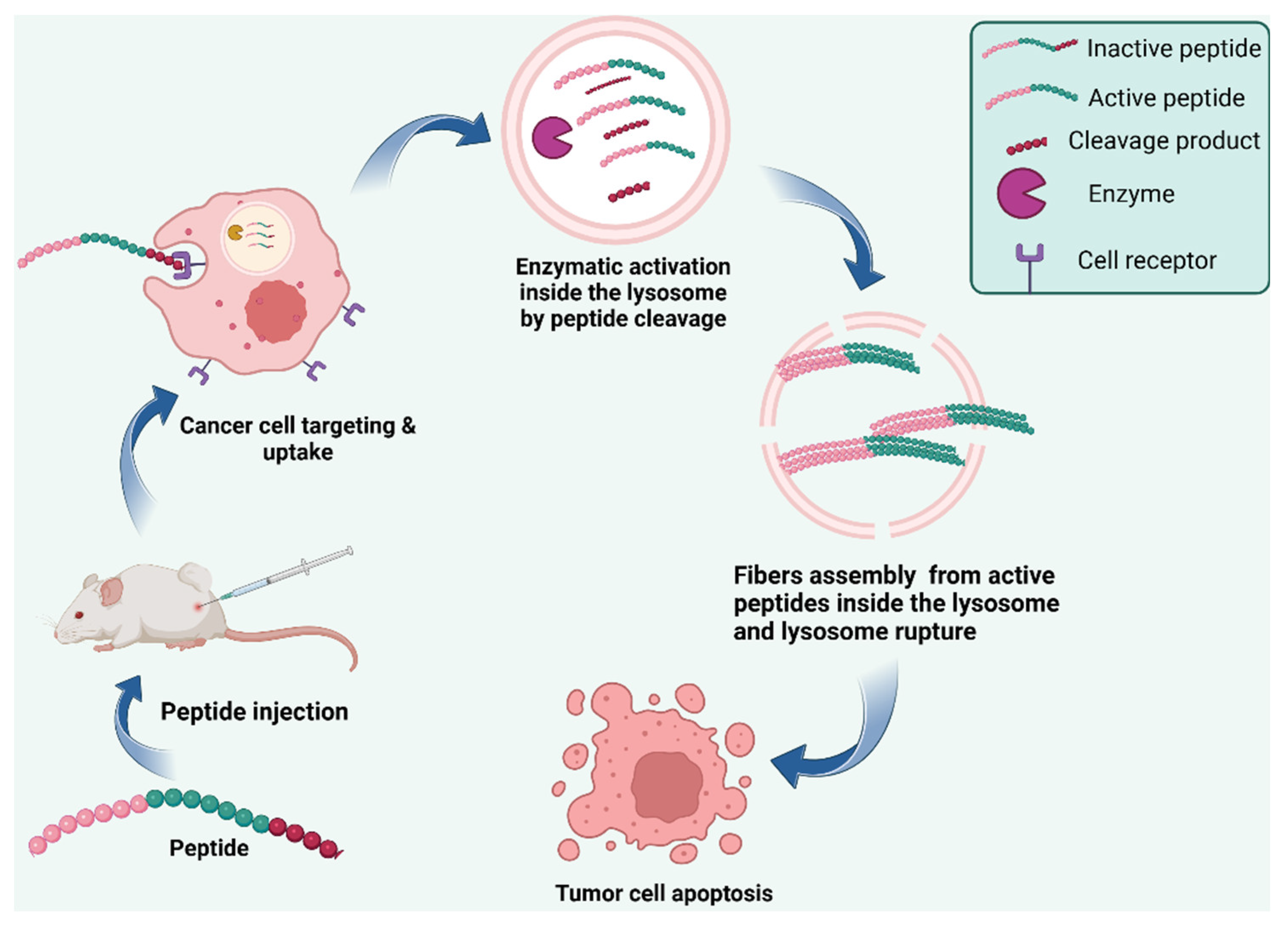 Preprints 153846 g009