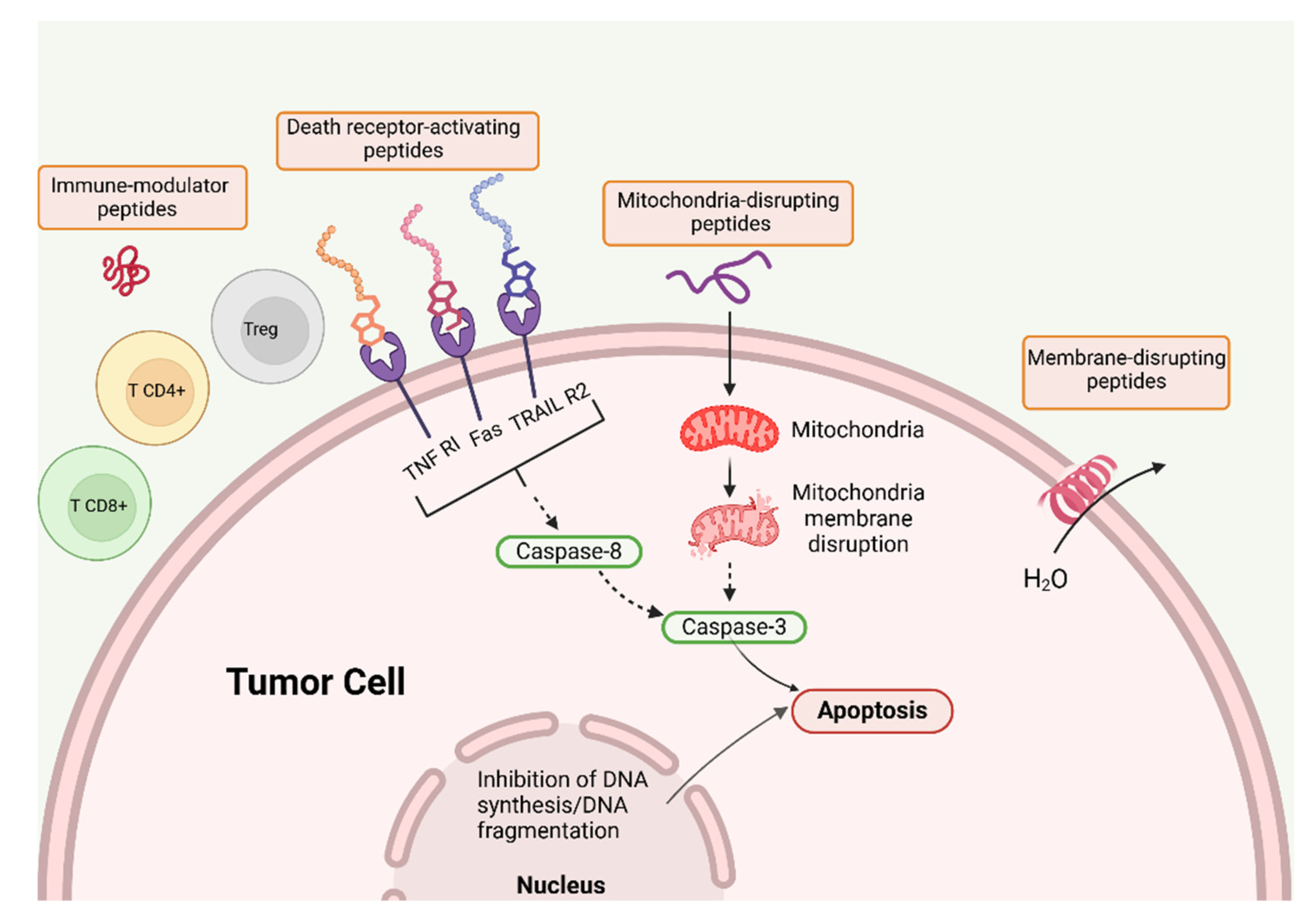 Preprints 153846 g010