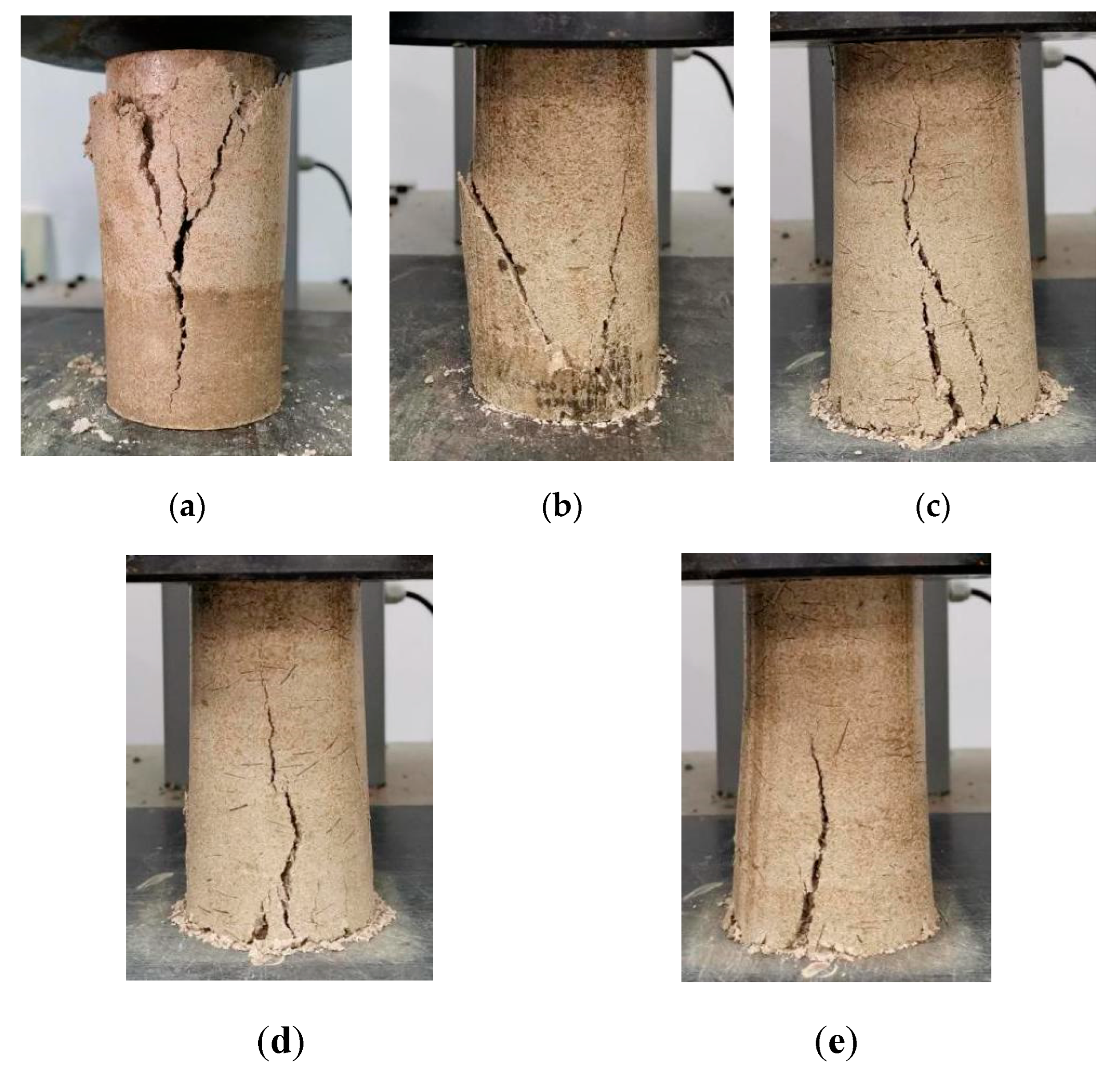 Preprints 165202 g007