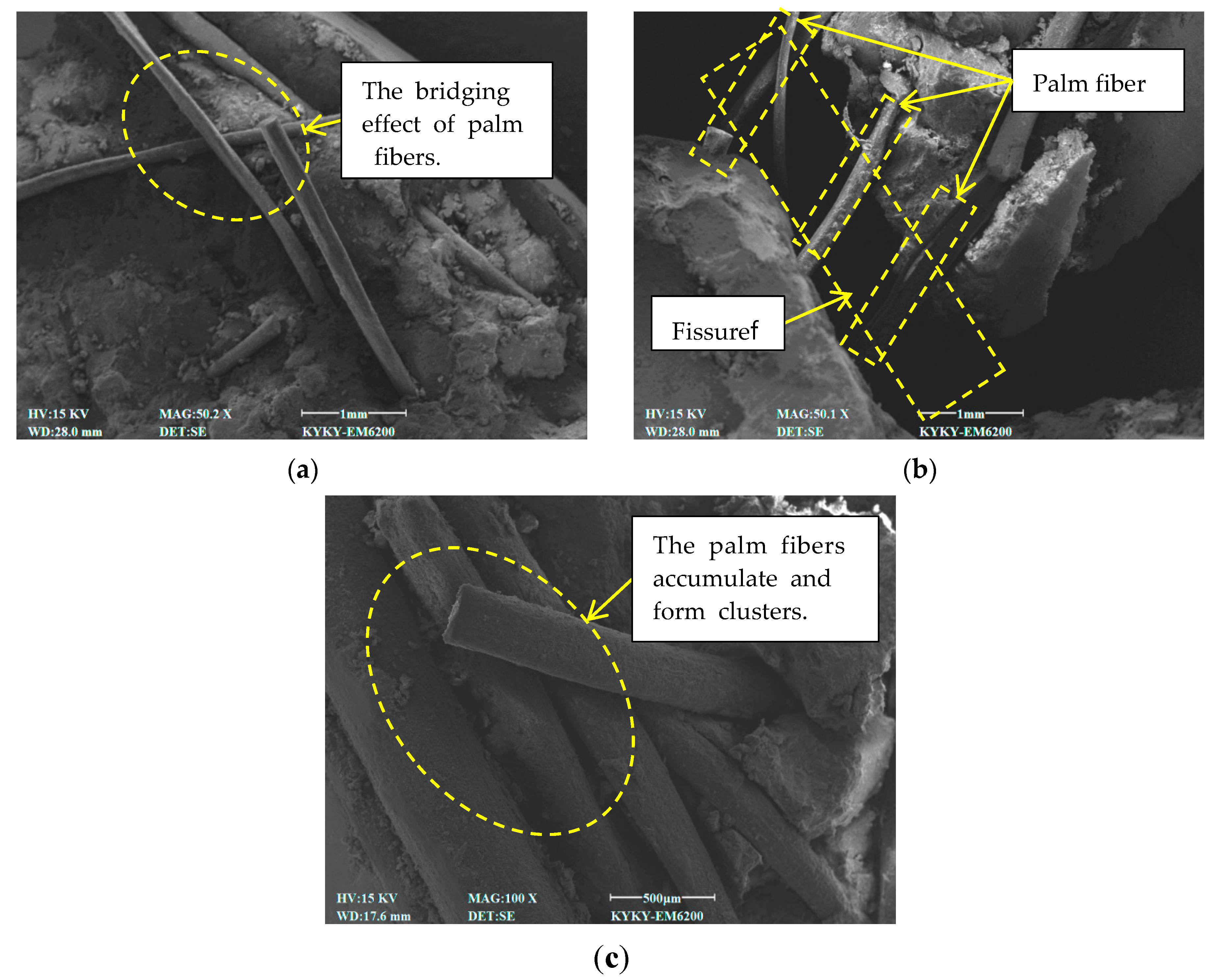 Preprints 165202 g012