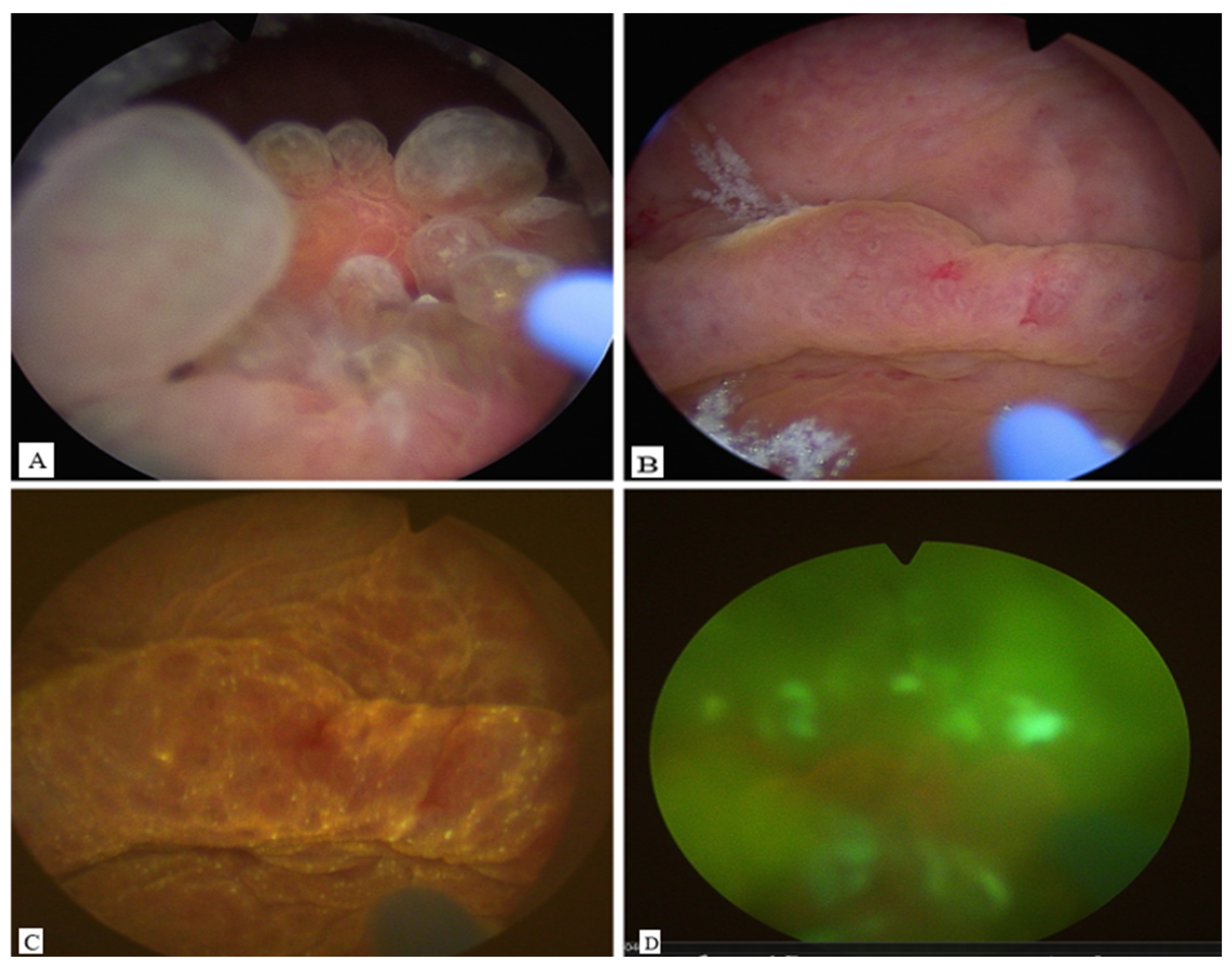 Preprints 166733 g001
