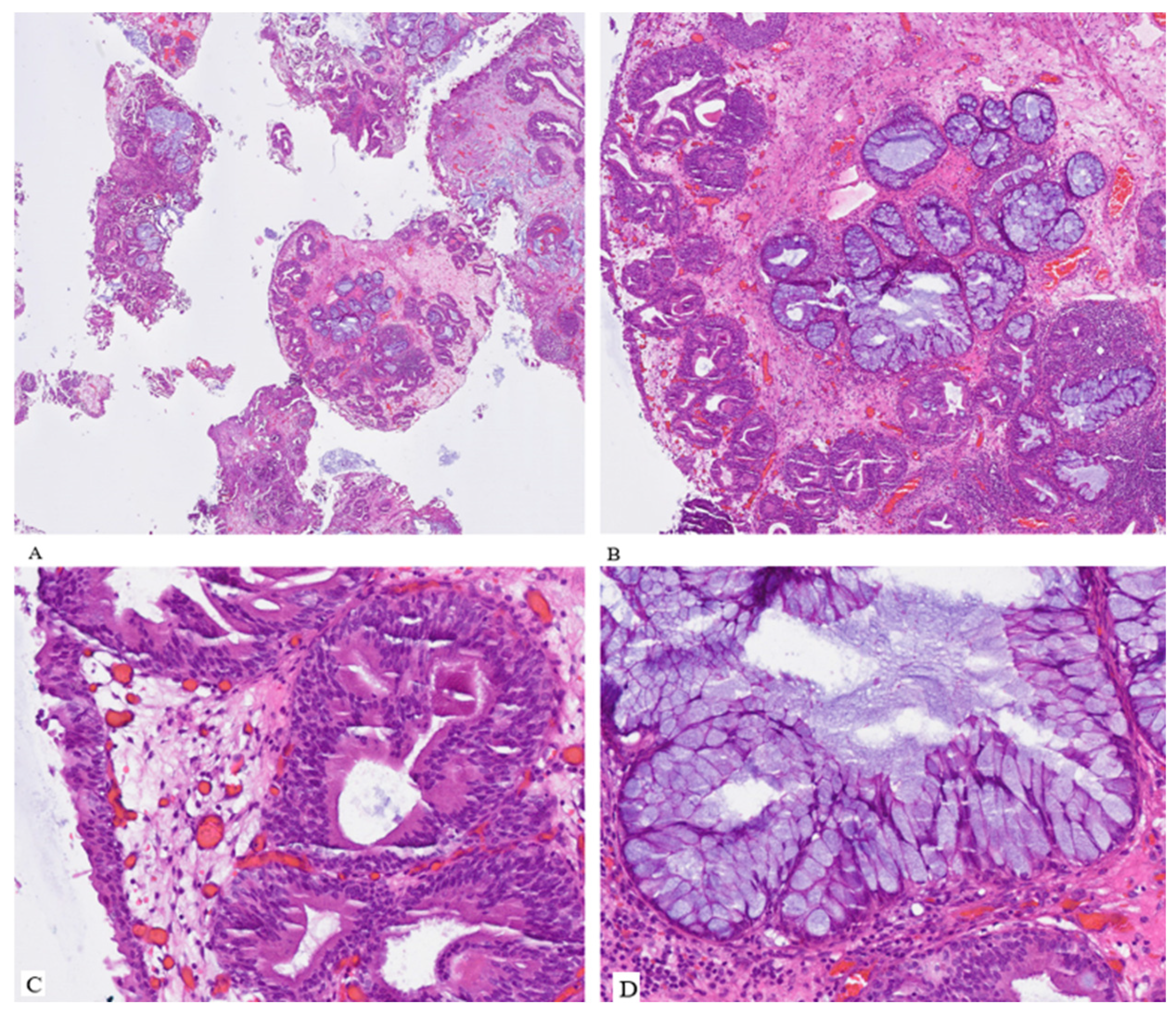 Preprints 166733 g002