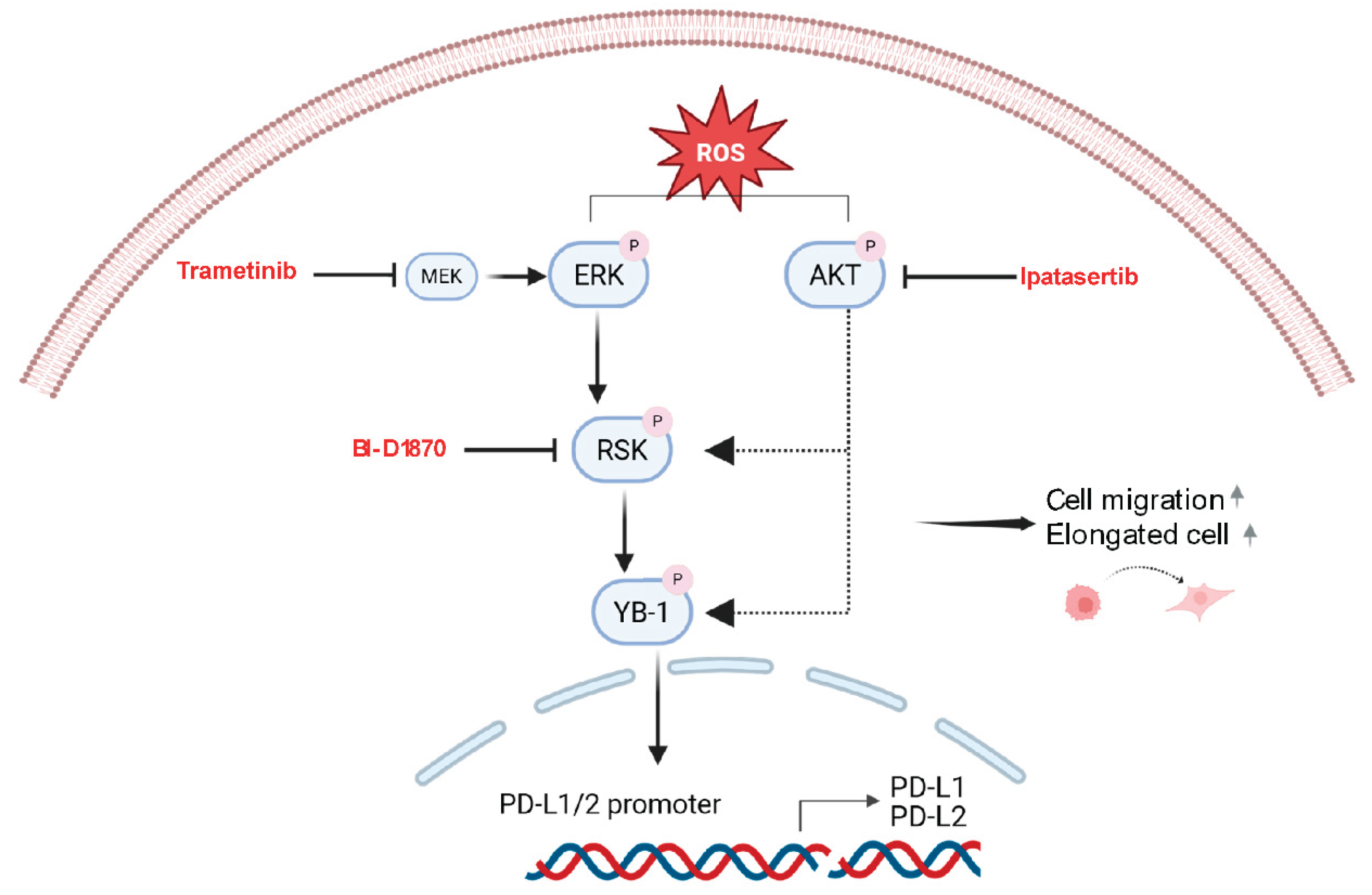 Preprints 185192 g007
