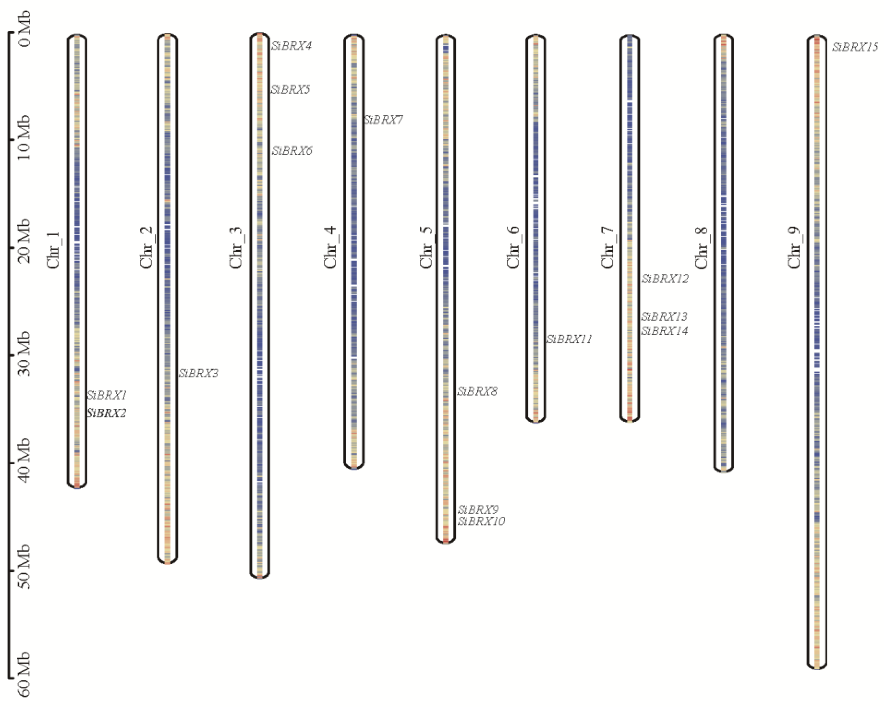 Preprints 152101 g001