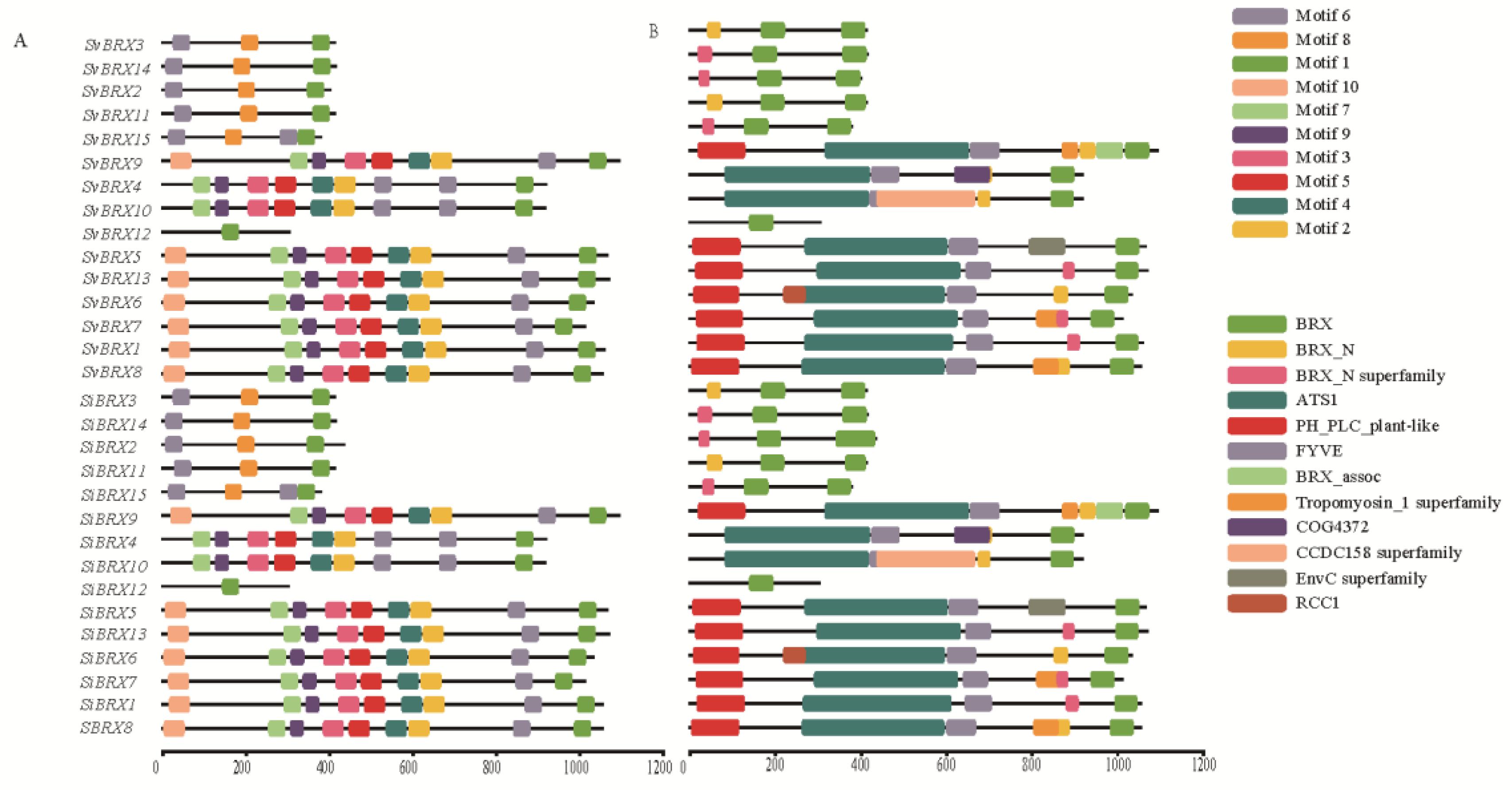 Preprints 152101 g003