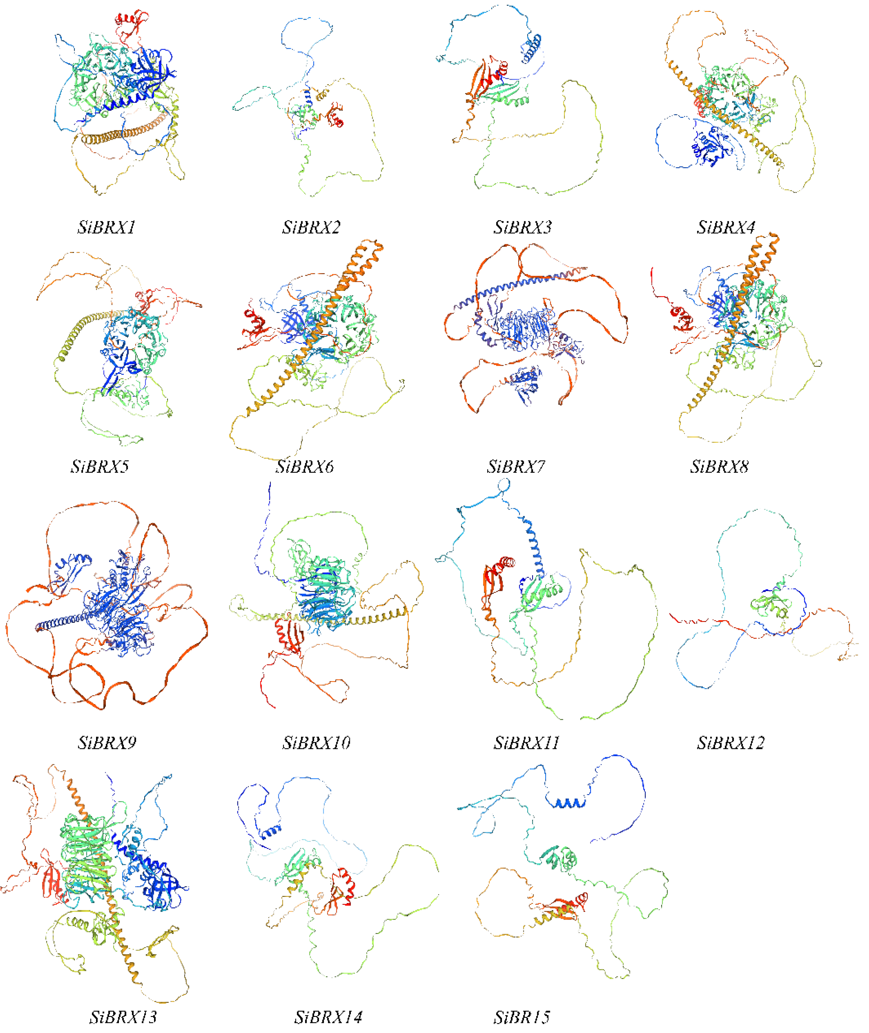 Preprints 152101 g004