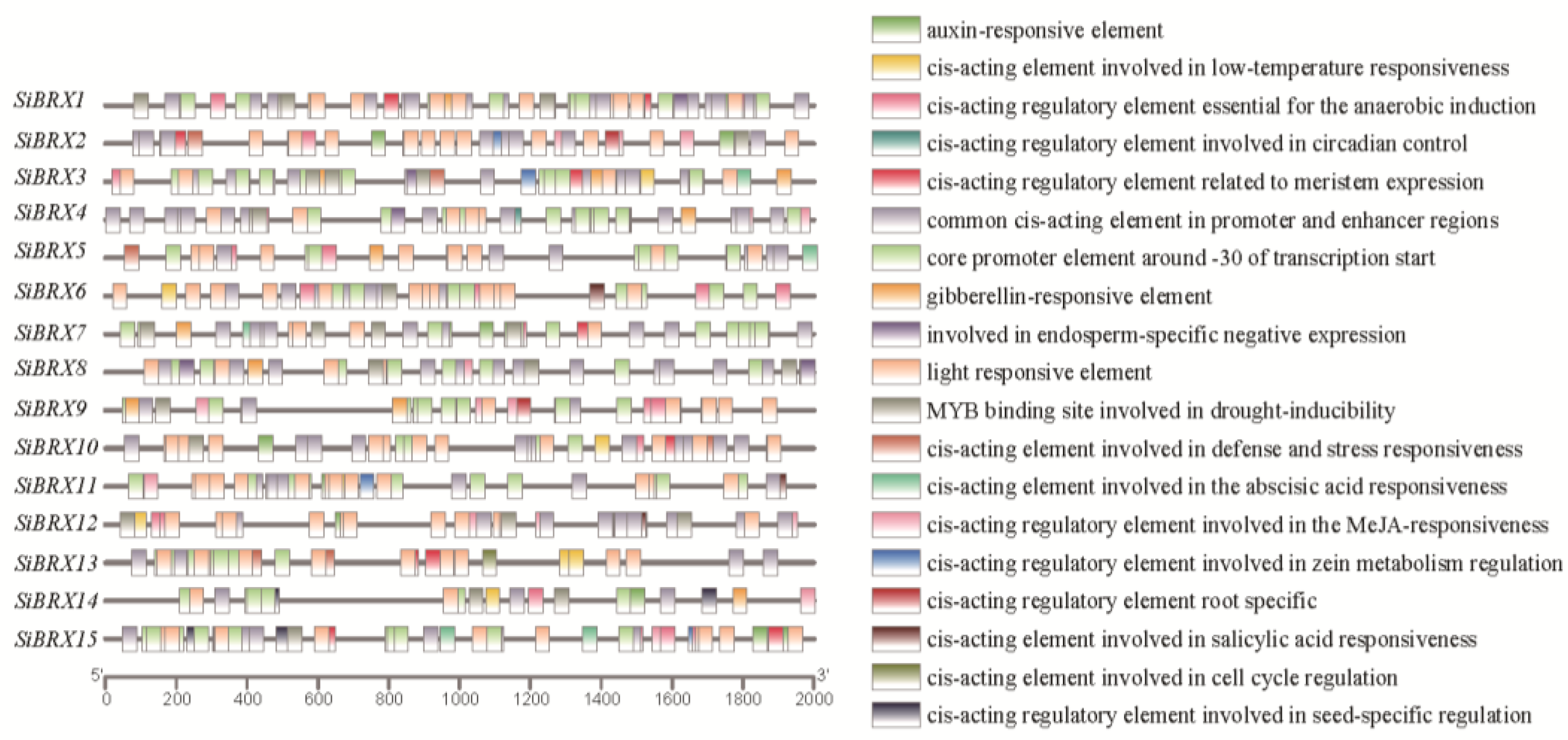 Preprints 152101 g006