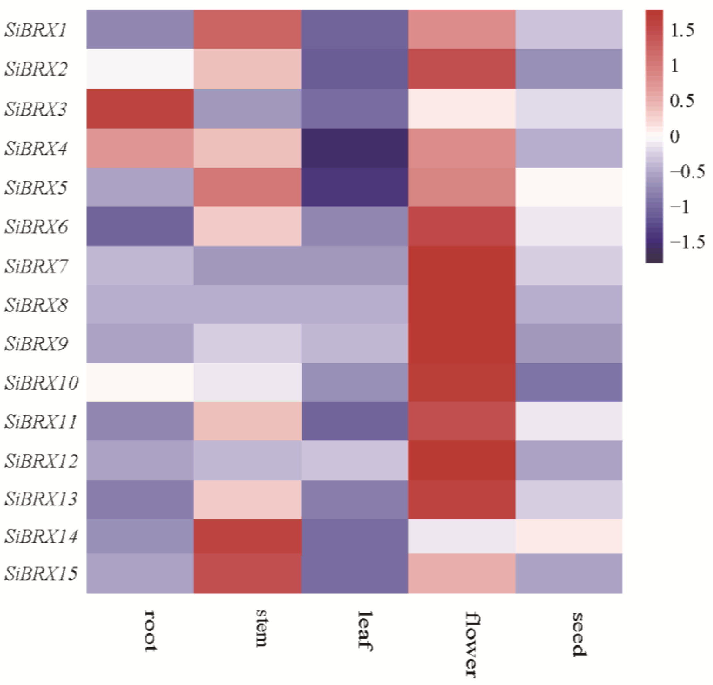 Preprints 152101 g007