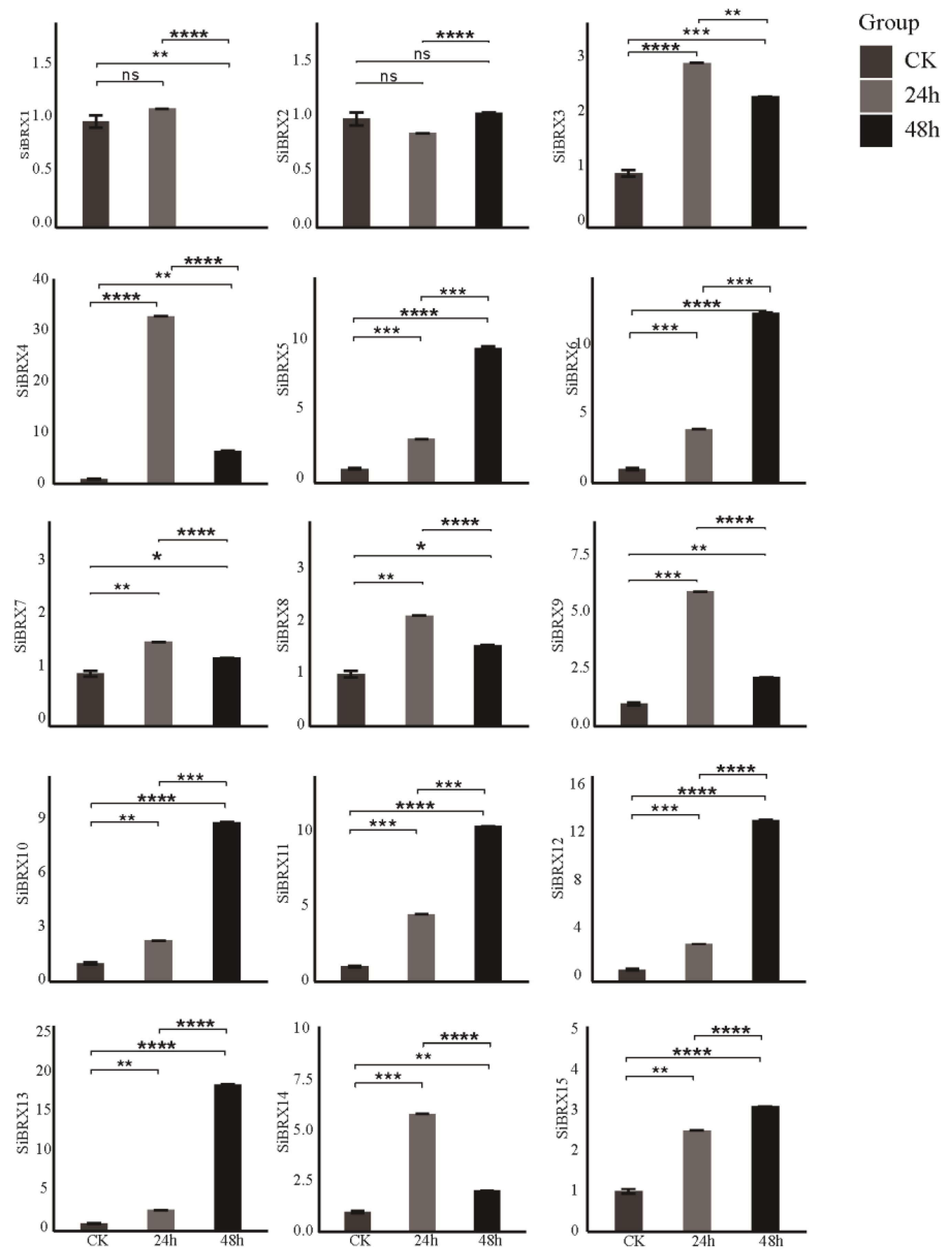 Preprints 152101 g009