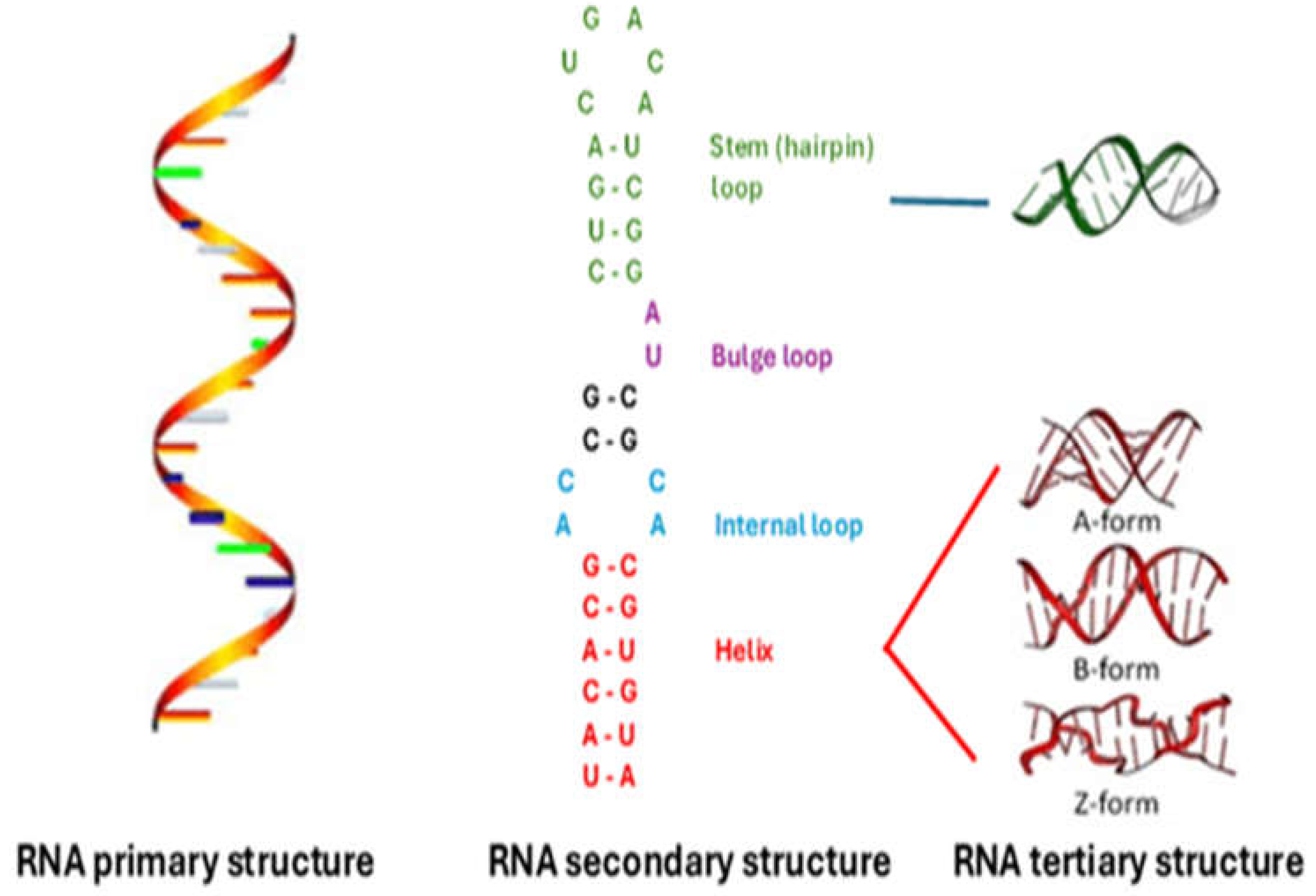 Preprints 141455 g001
