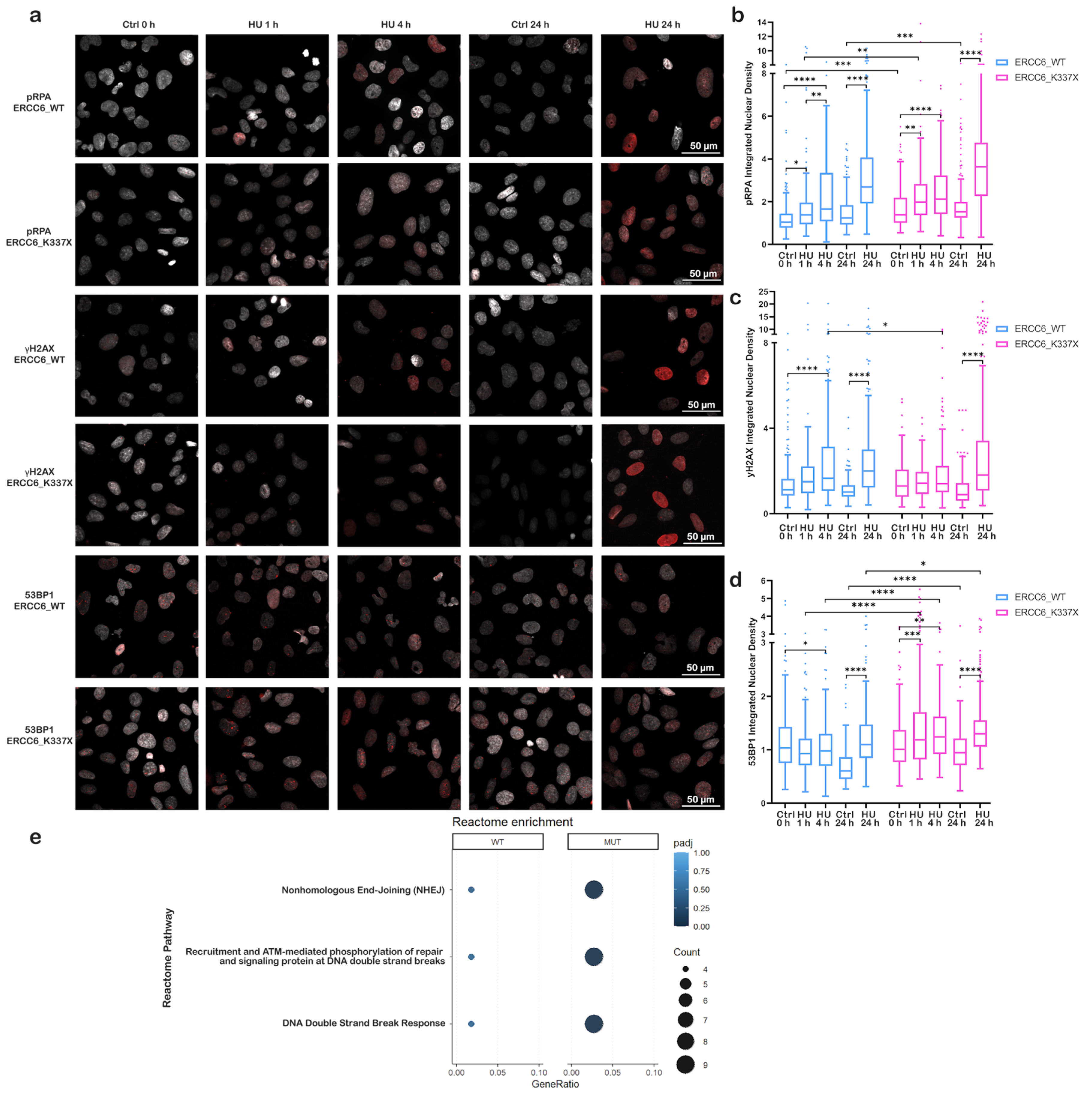 Preprints 189299 g001
