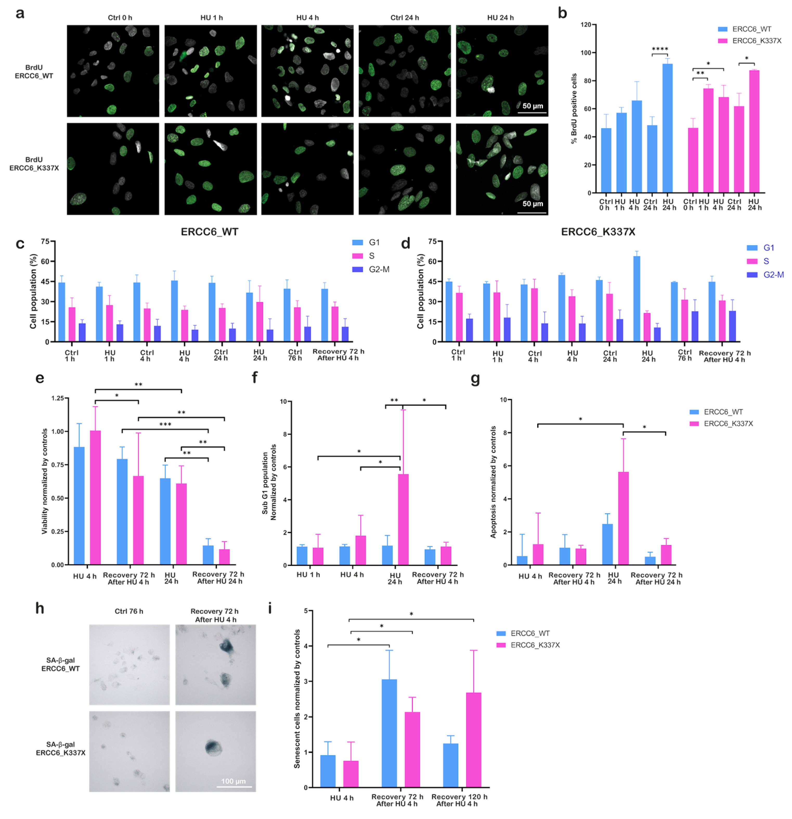 Preprints 189299 g002