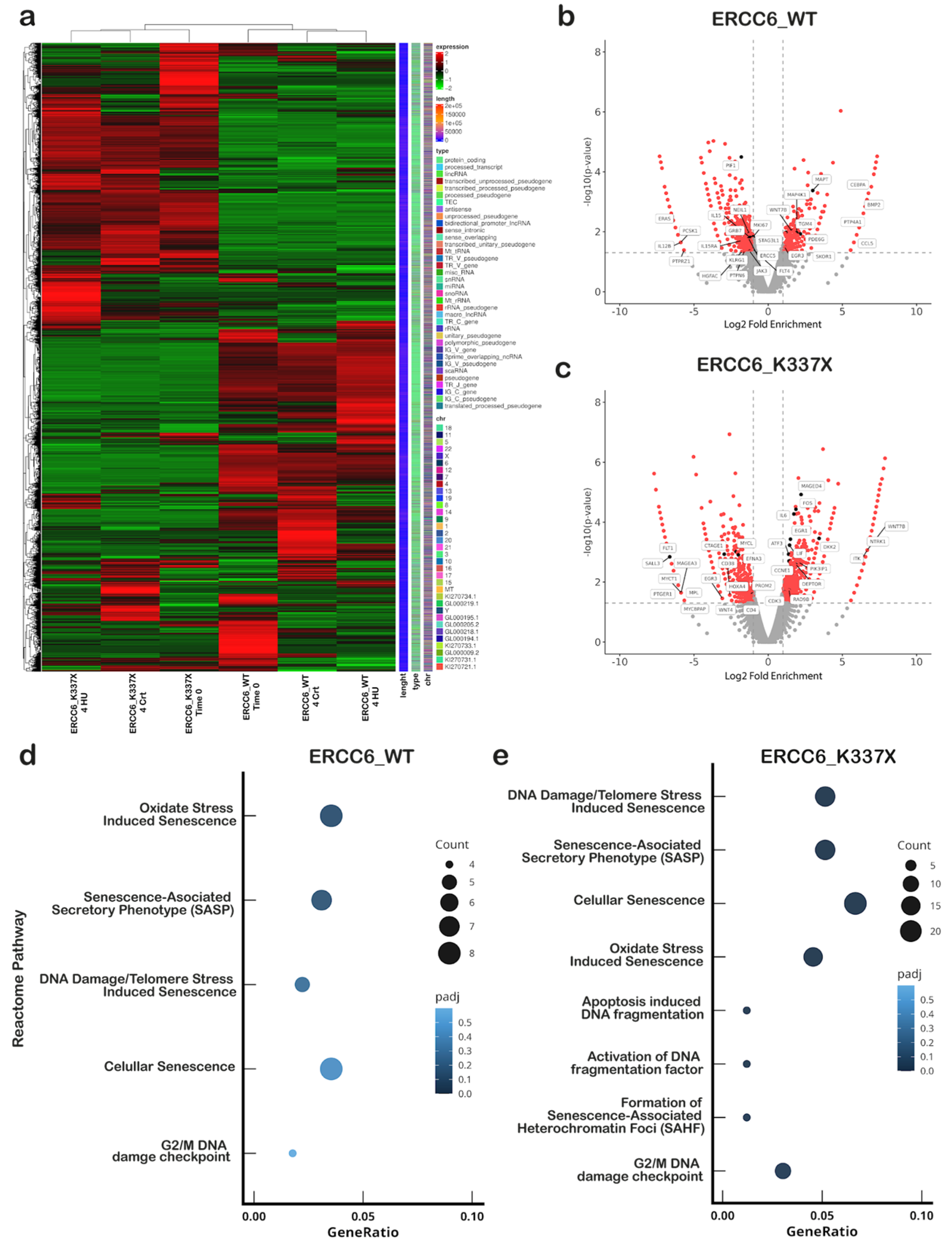 Preprints 189299 g003