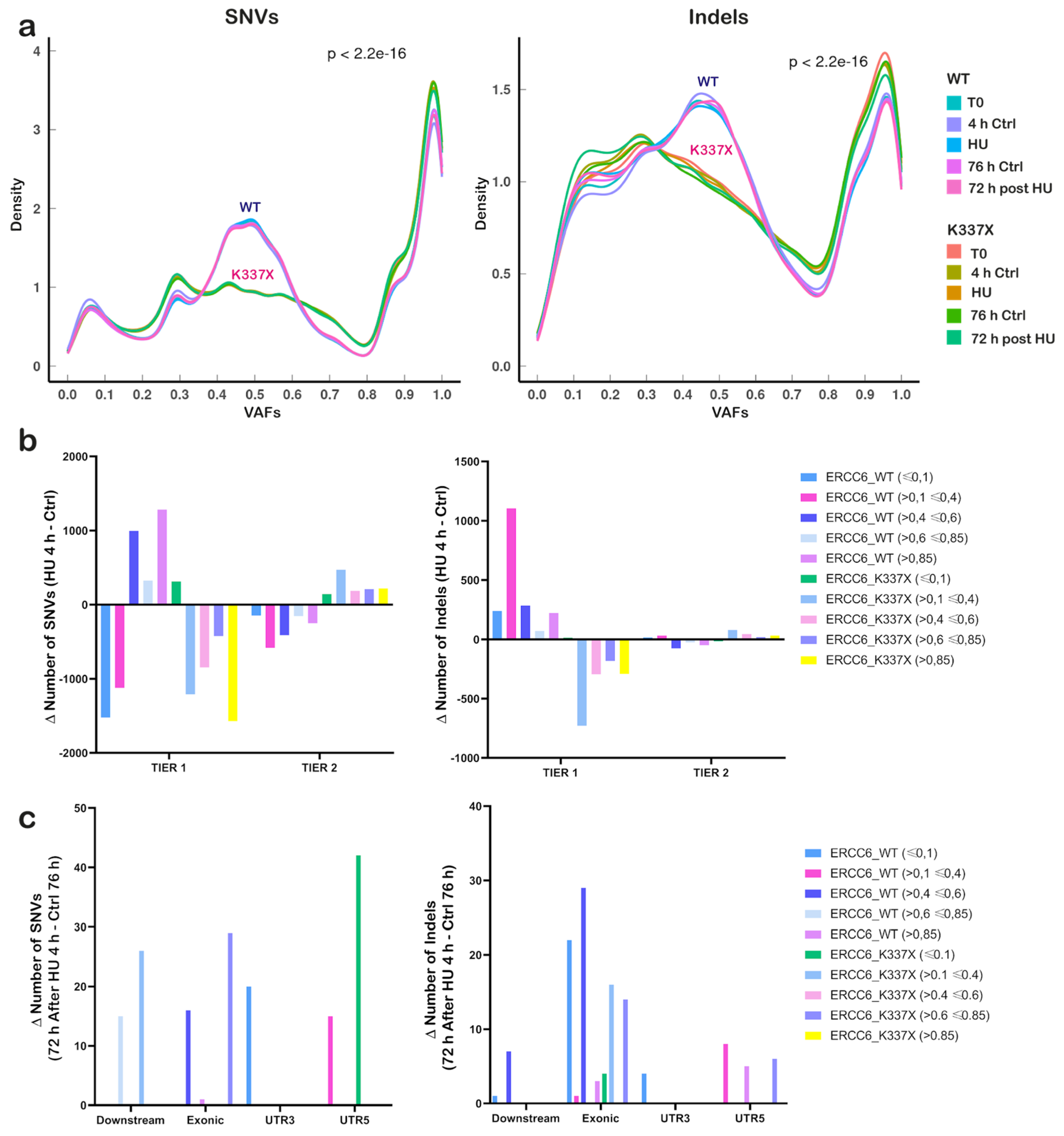 Preprints 189299 g004